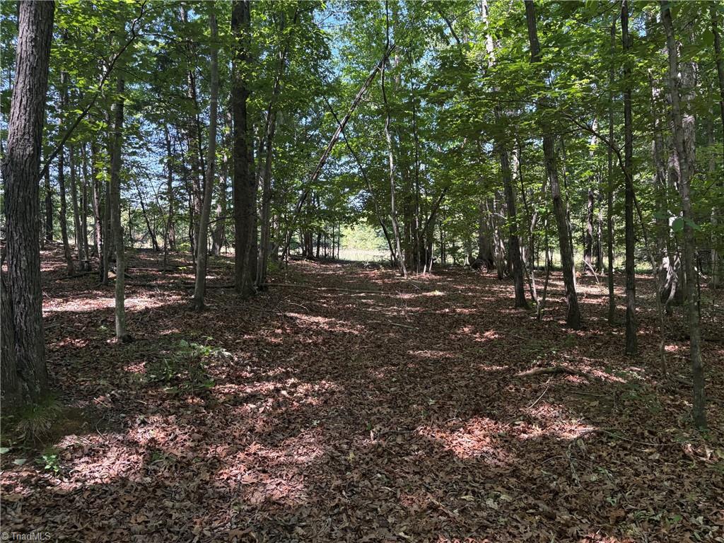0 Witty Road Summerfield, NC 27358 - Photo 13 of 21
