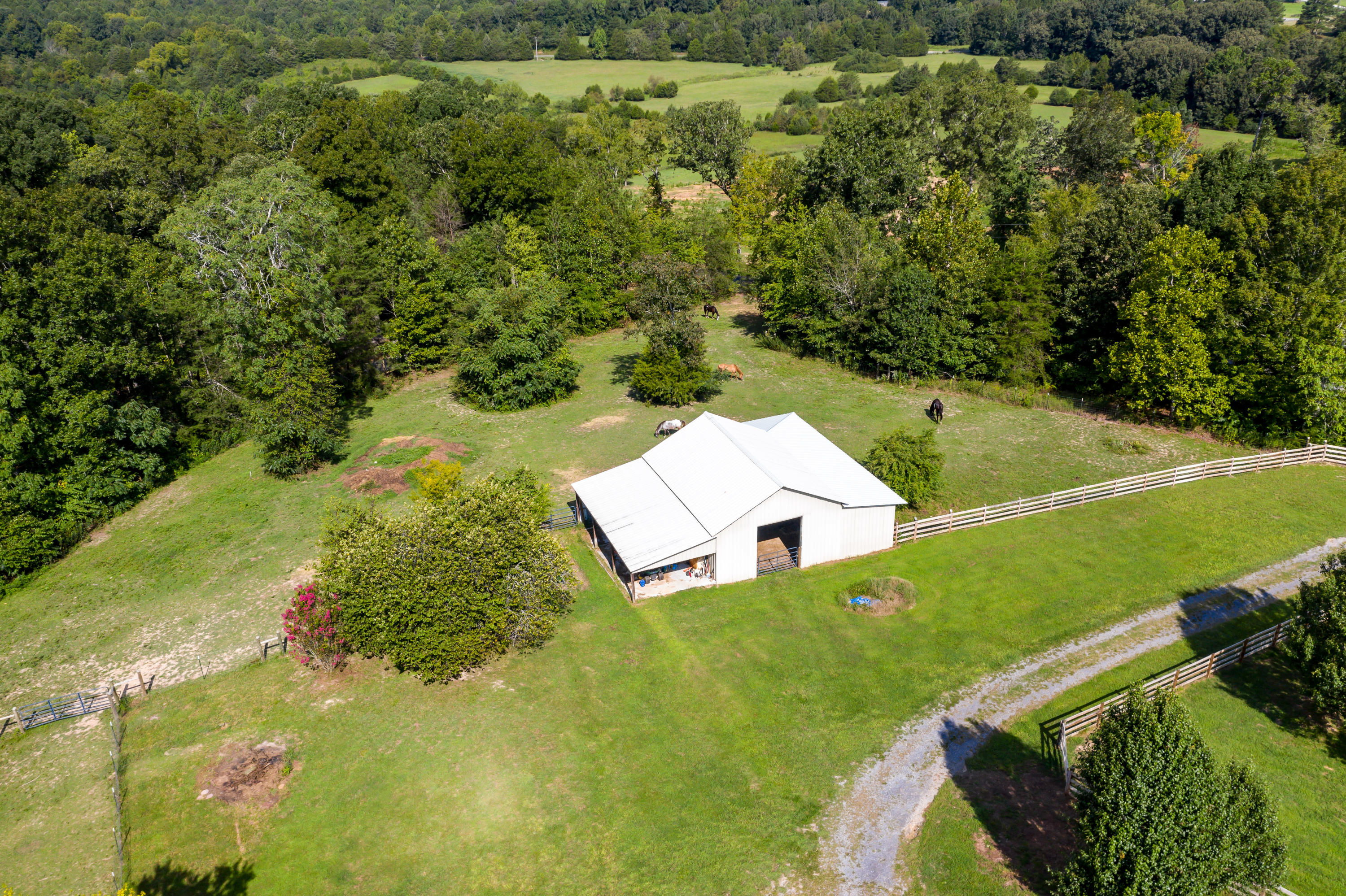 206 County Road 757 Riceville, TN 37370 - Photo 45 of 52 206CountyRd757-16
