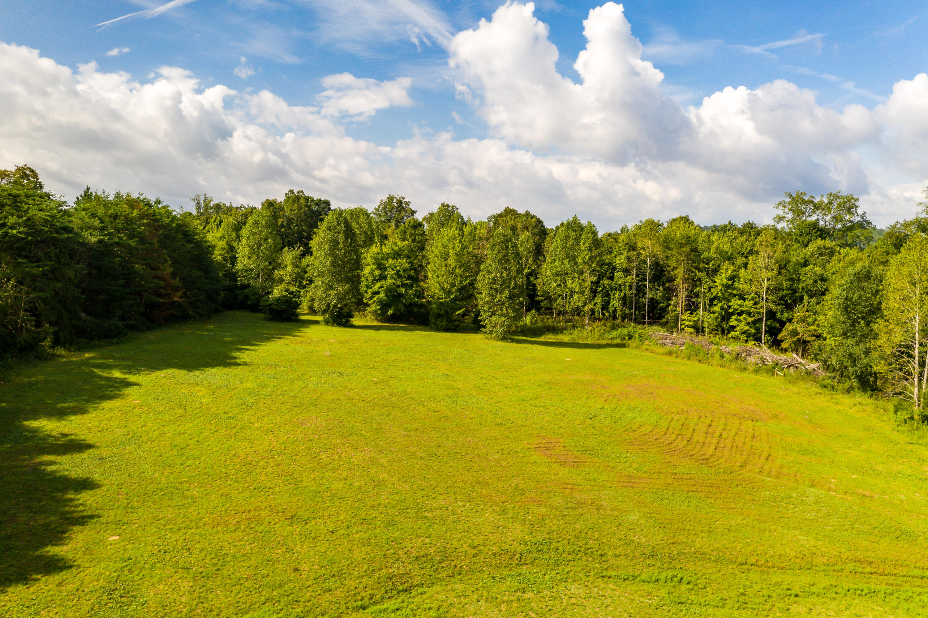 206 County Road 757 Riceville, TN 37370 - Photo 48 of 52 206CountyRd757-13