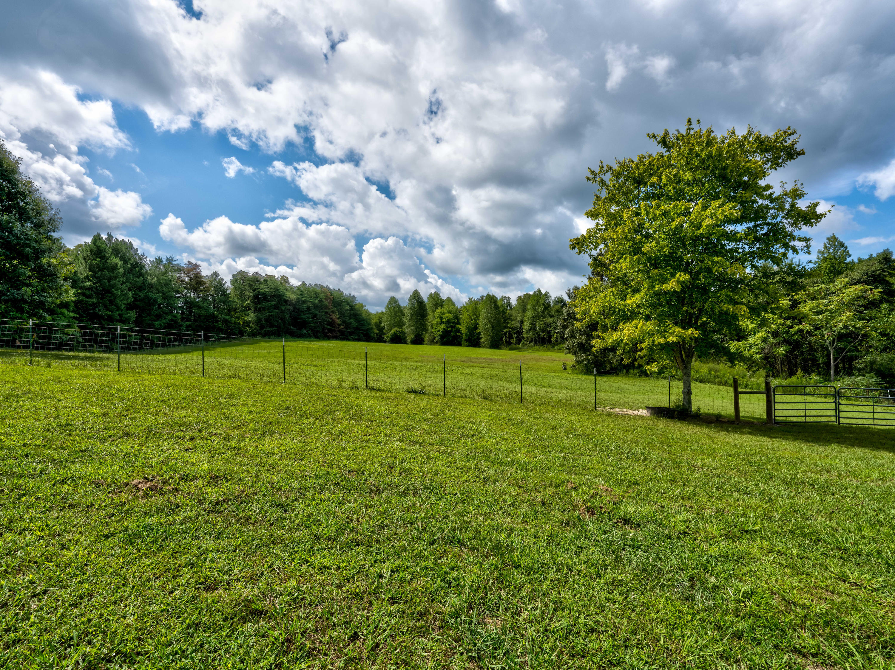 206 County Road 757 Riceville, TN 37370 - Photo 50 of 52 206CountyRd757-34