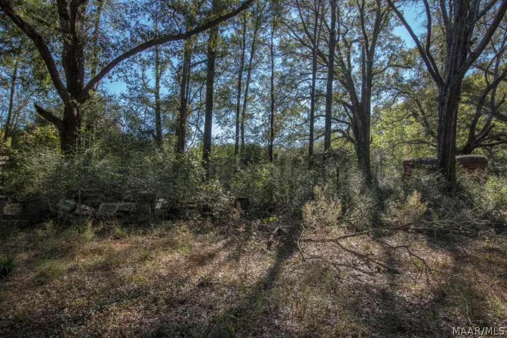 726 Spring Creek Road Geneva, AL 36340 - Photo 32 of 34 Gallery Image 32
