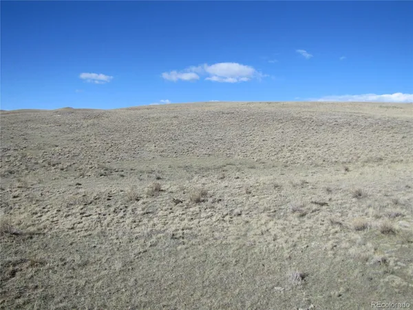 $9,900 | Lot 4523 Black Beaver Circle, Hartsel, CO 80449