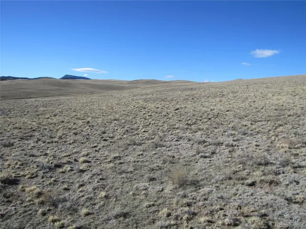 $9,900 | Lot 4523 Black Beaver Circle, Hartsel, CO 80449