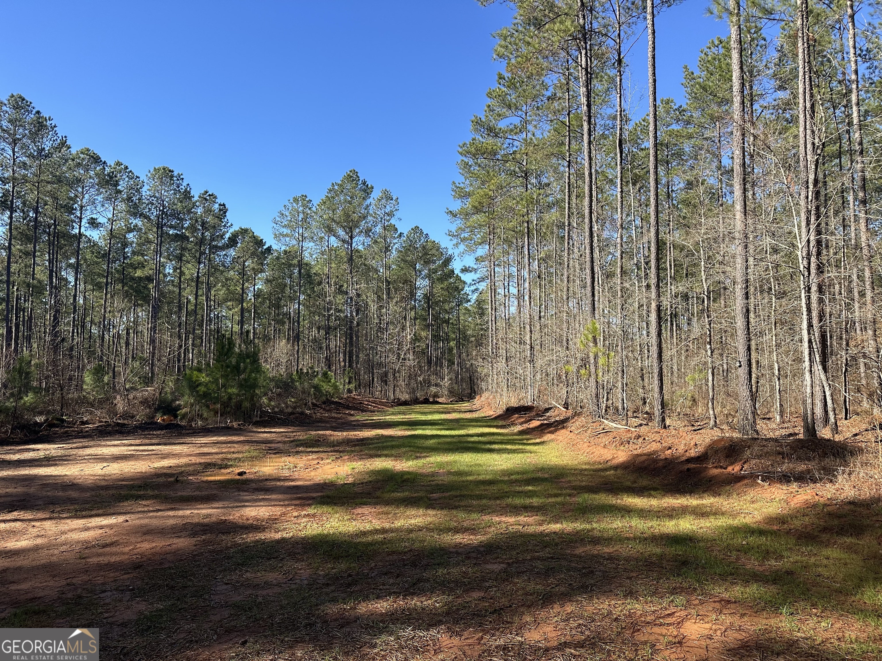 0 Farmington Road Watkinsville, GA 30677 - Photo 1 of 27 a view of a park with large trees