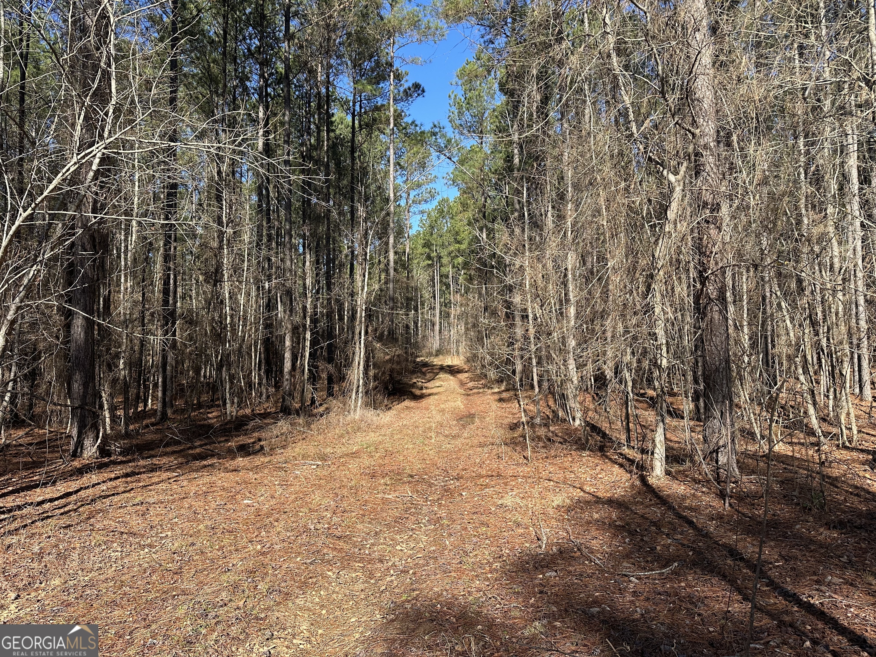 0 Farmington Road Watkinsville, GA 30677 - Photo 11 of 27 a view of a yard with trees
