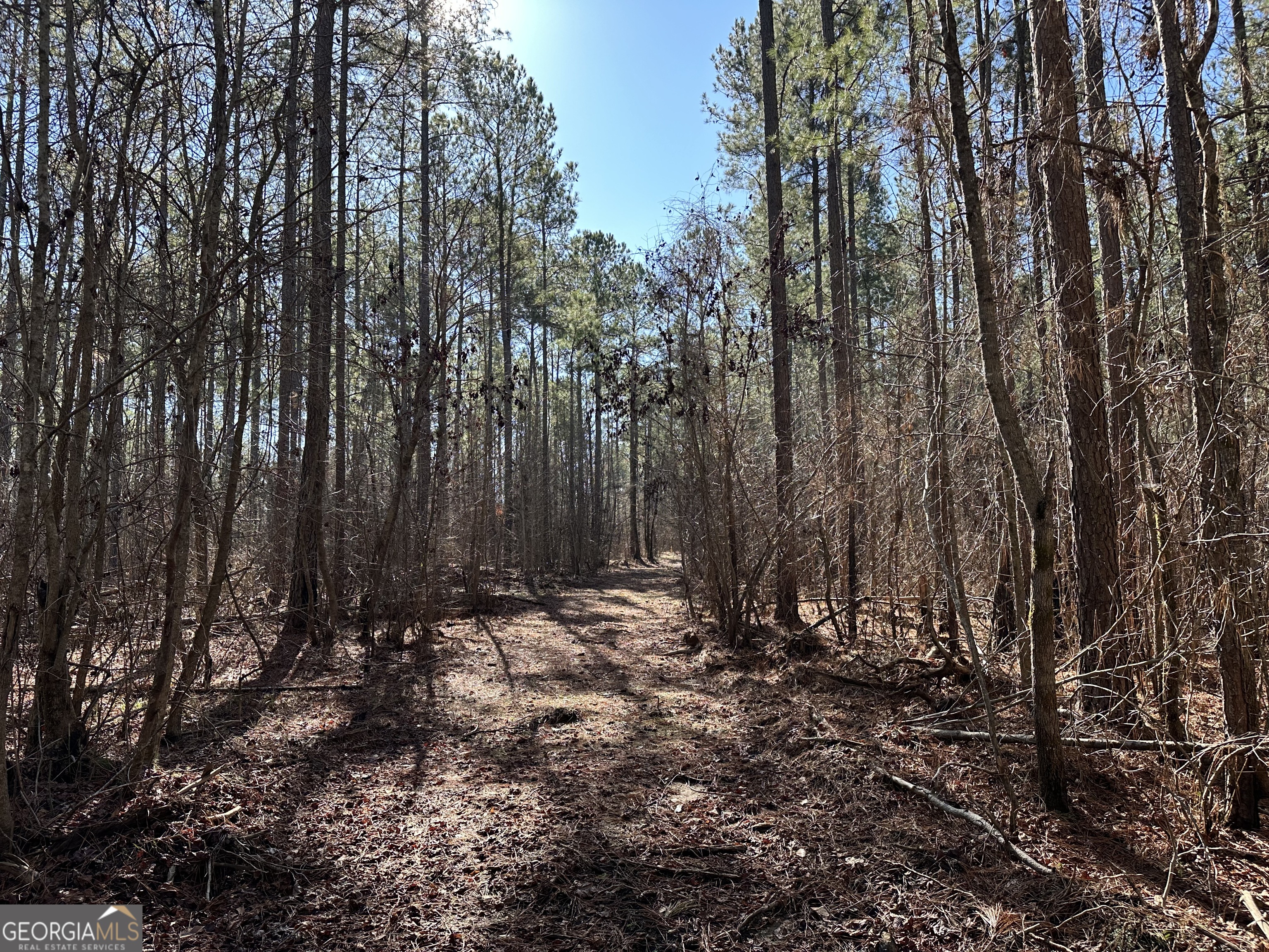 0 Farmington Road Watkinsville, GA 30677 - Photo 15 of 27 a view of outdoor space with green space