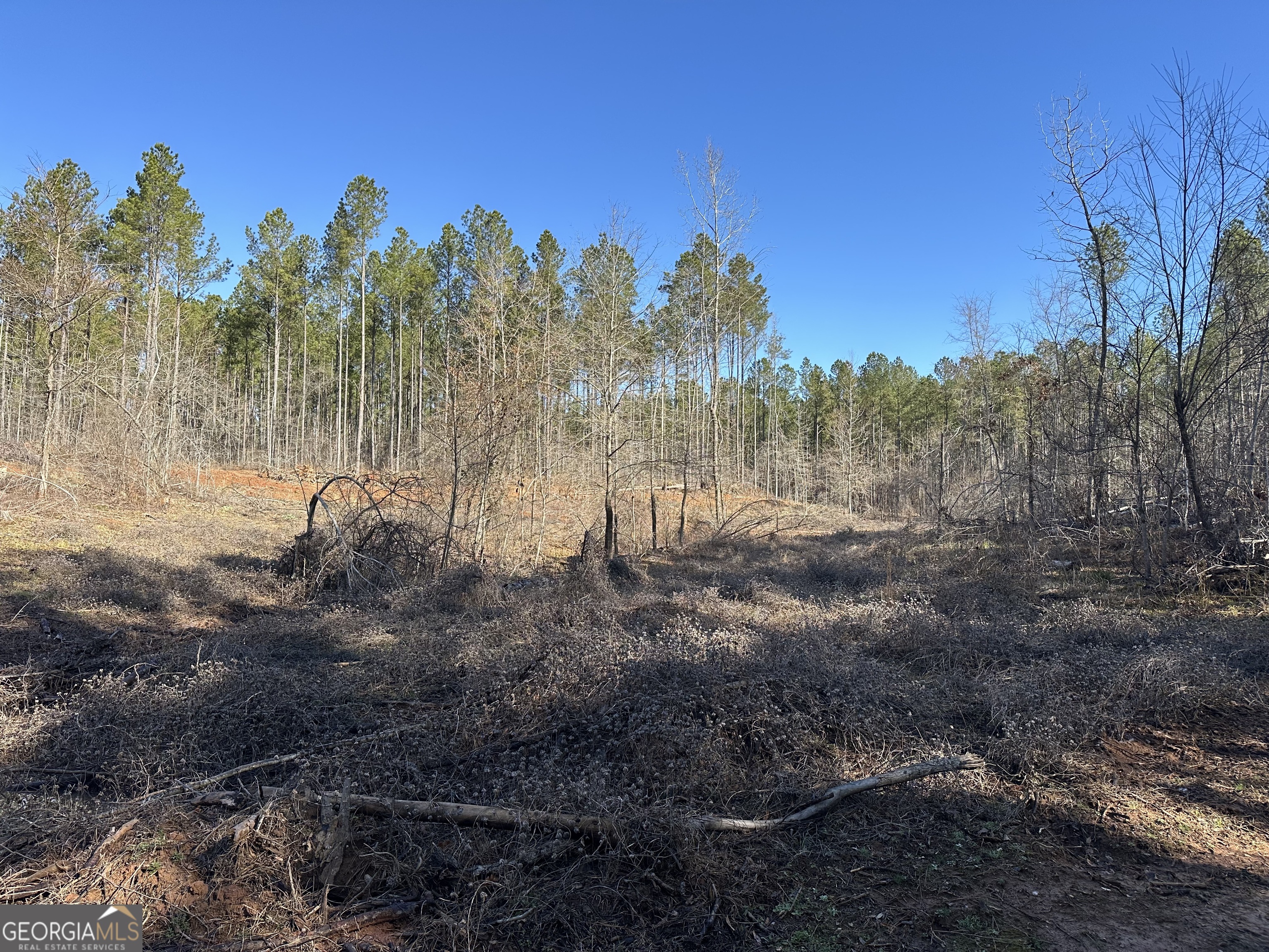 0 Farmington Road Watkinsville, GA 30677 - Photo 20 of 27 a view of a forest with trees