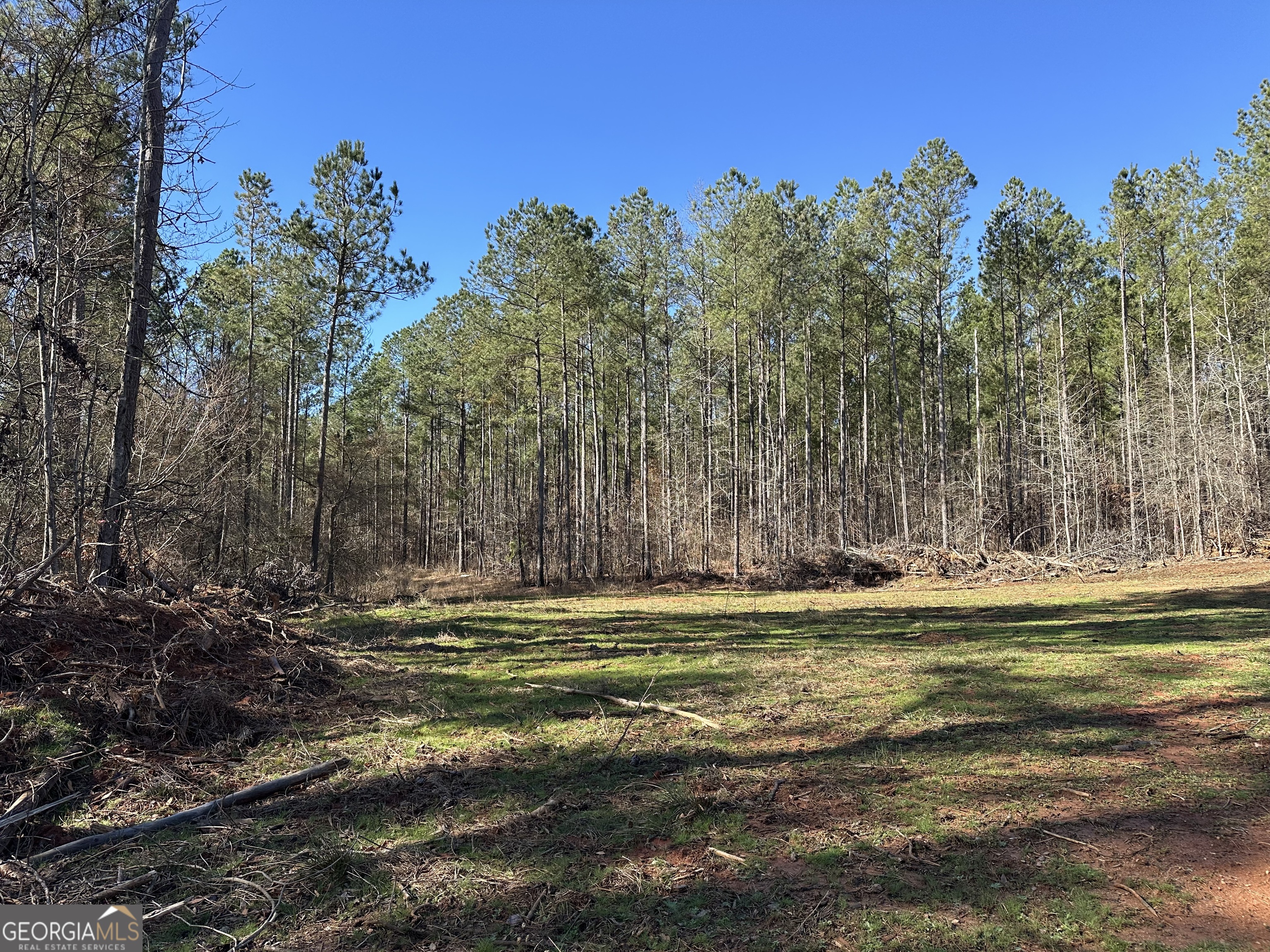 0 Farmington Road Watkinsville, GA 30677 - Photo 22 of 27 a view of a water with large trees