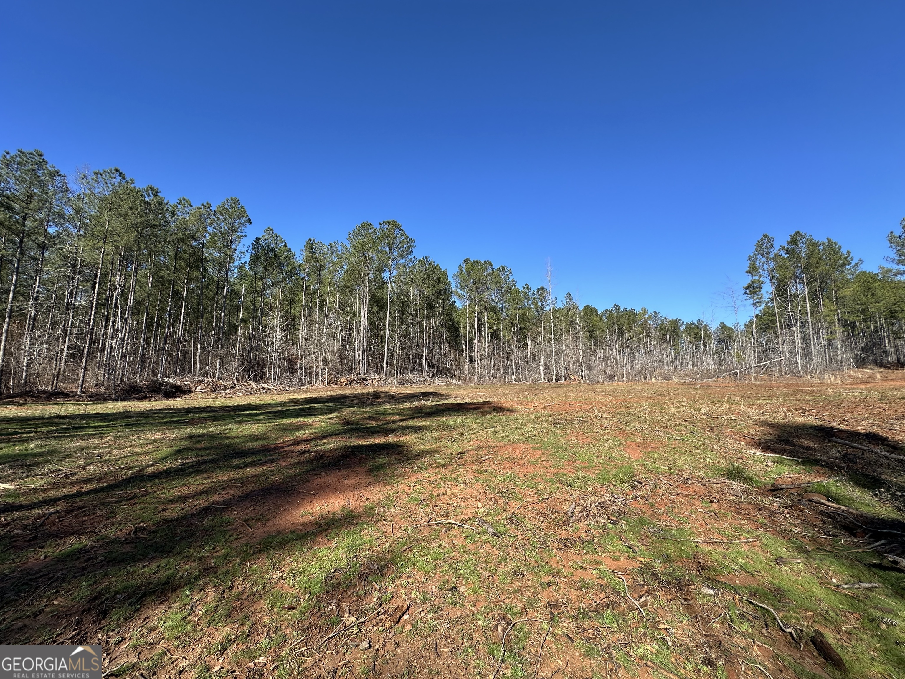 0 Farmington Road Watkinsville, GA 30677 - Photo 23 of 27 a view of a yard with a tree