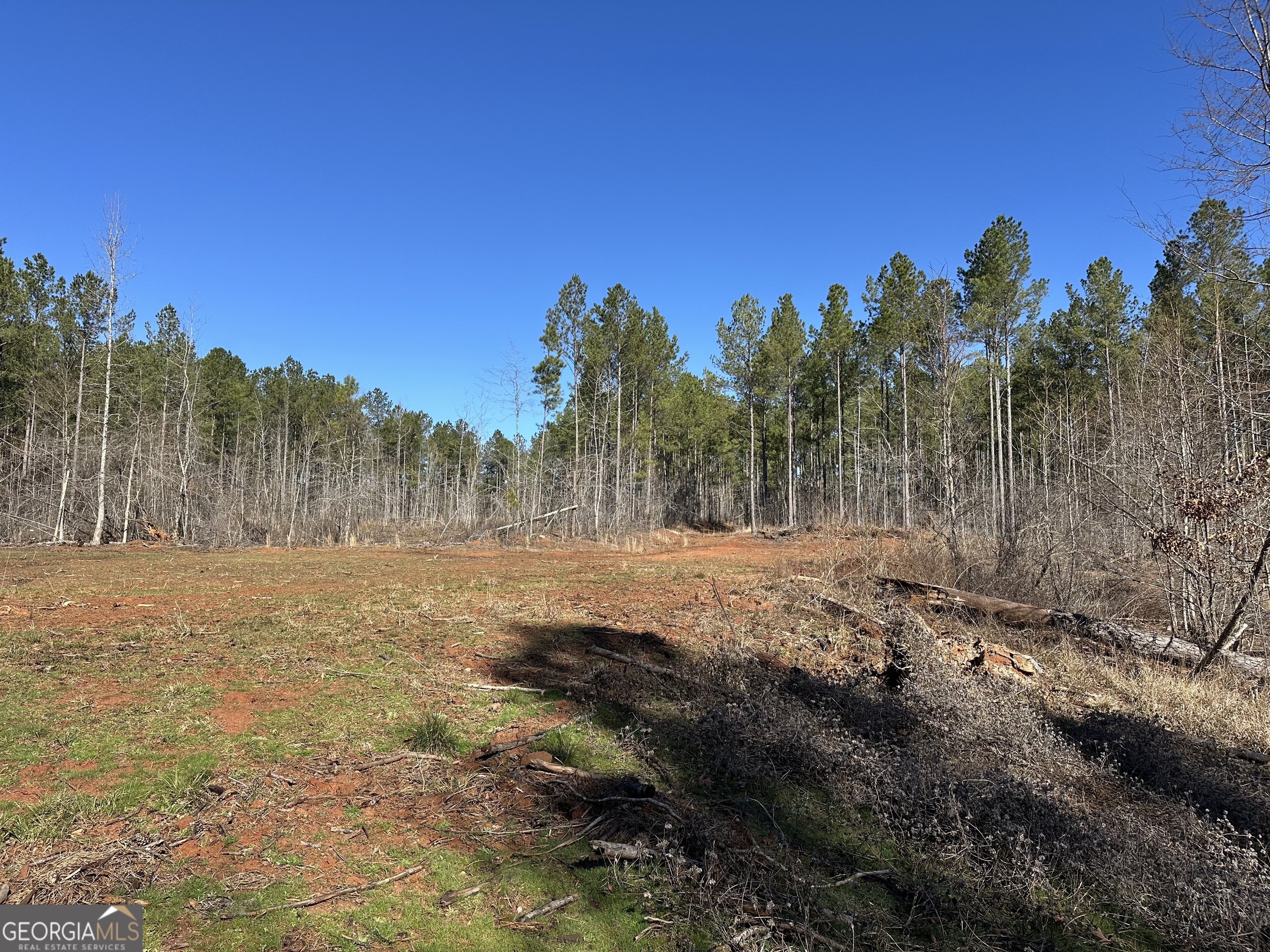 0 Farmington Road Watkinsville, GA 30677 - Photo 24 of 27 a view of a yard with trees in the background