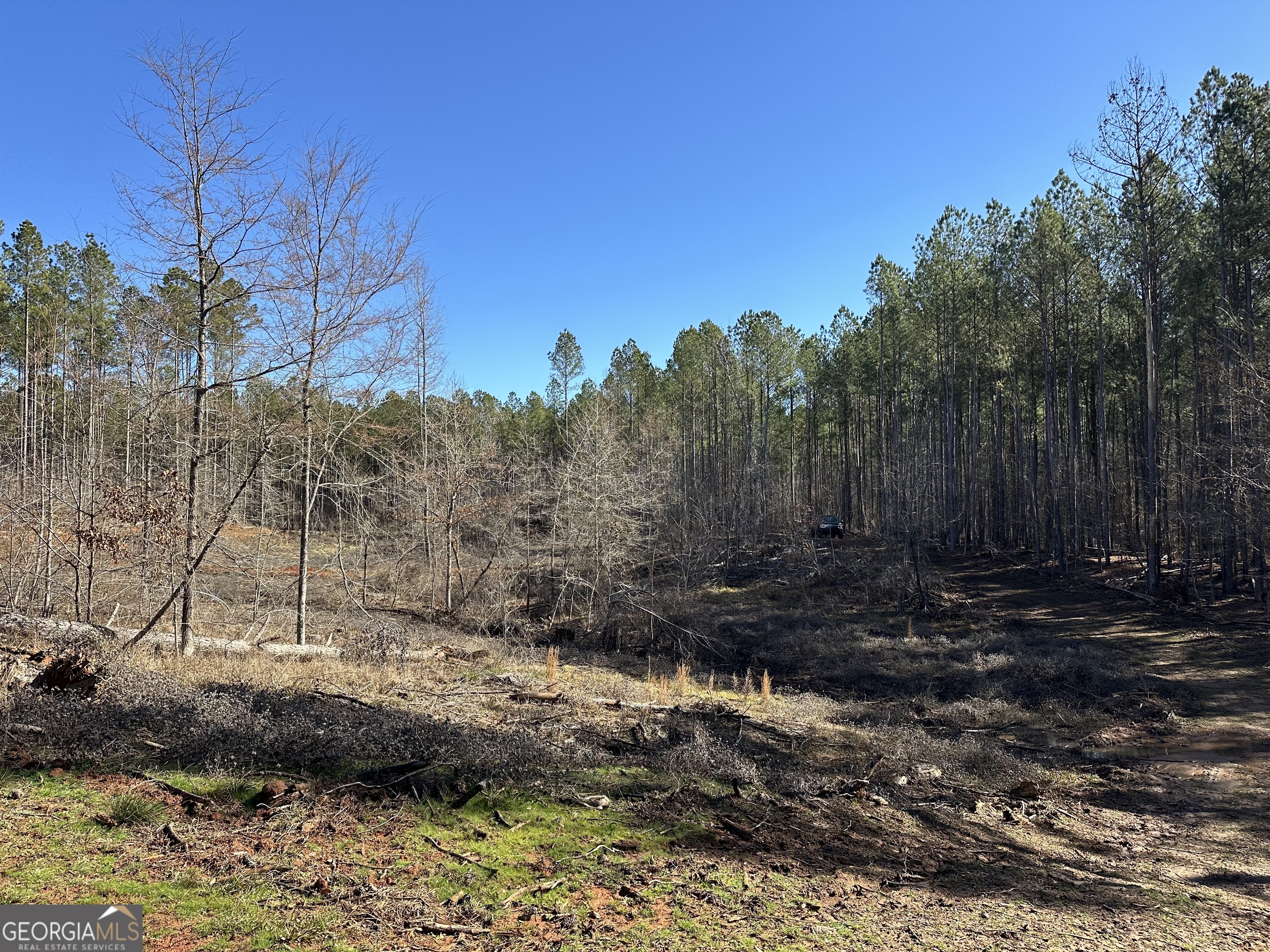 0 Farmington Road Watkinsville, GA 30677 - Photo 25 of 27 a view of a yard with wooden fence