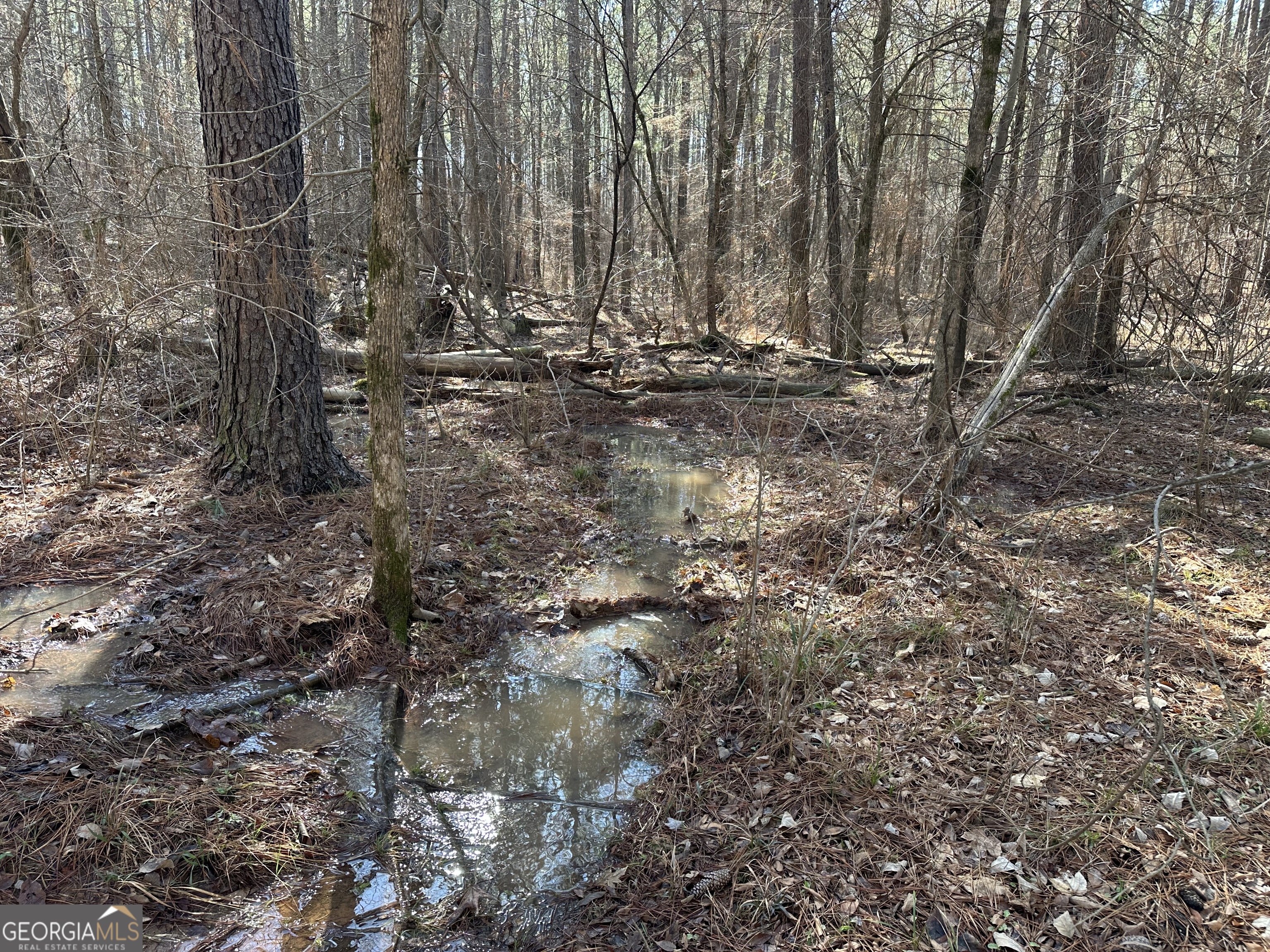 0 Farmington Road Watkinsville, GA 30677 - Photo 26 of 27 a view of outdoor space with trees