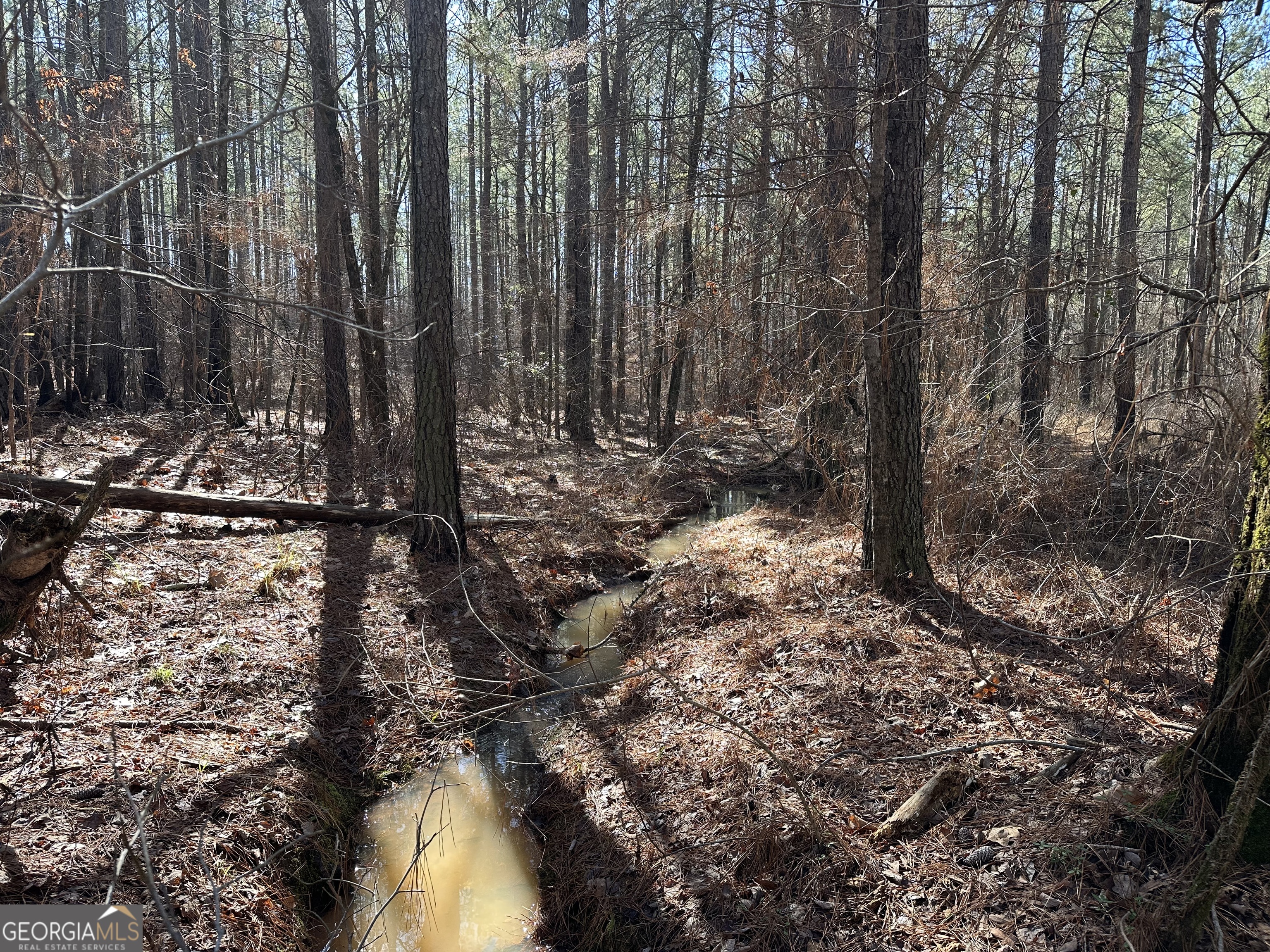 0 Farmington Road Watkinsville, GA 30677 - Photo 27 of 27