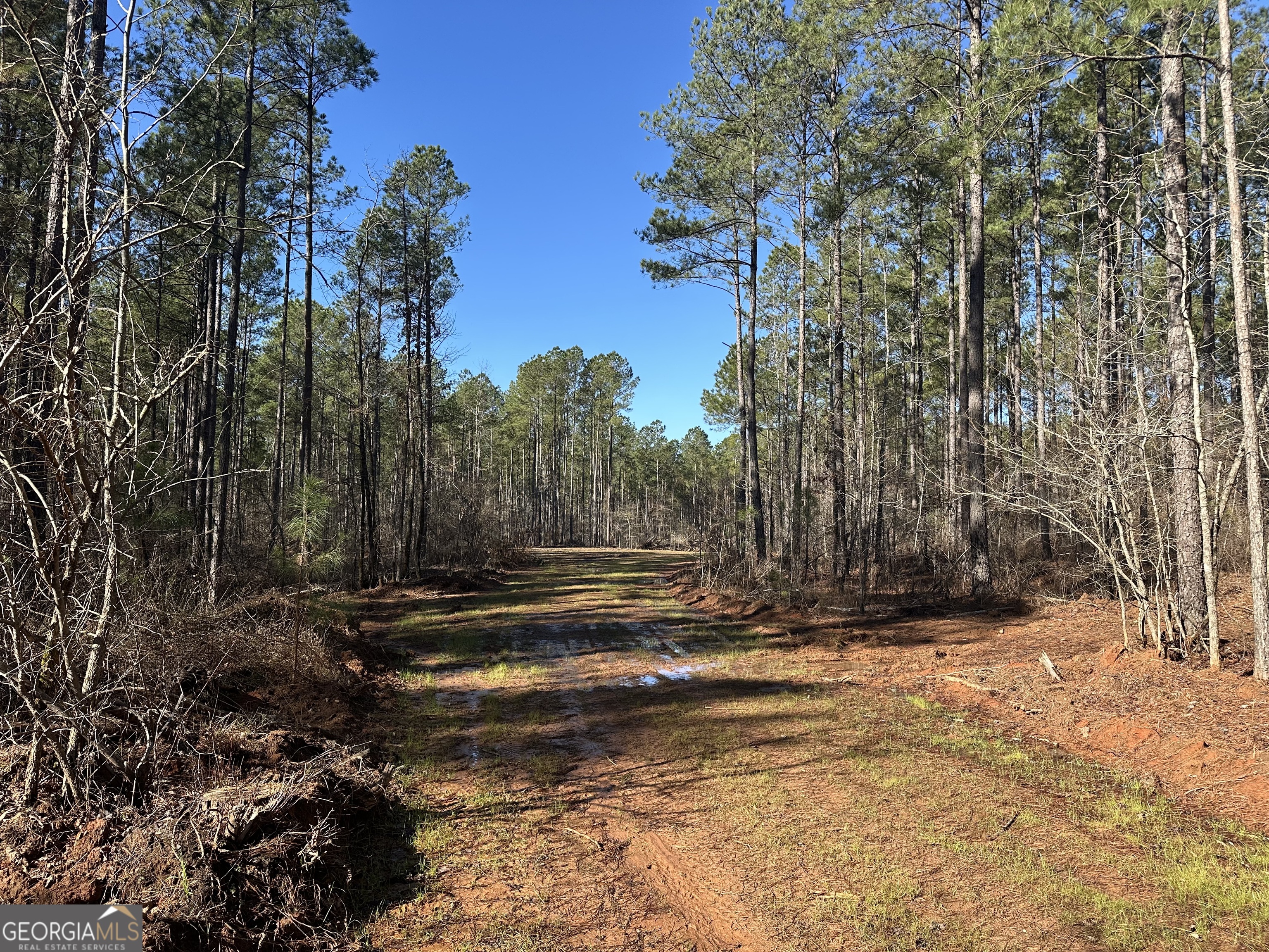 0 Farmington Road Watkinsville, GA 30677 - Photo 3 of 27 a view of a yard with a tree