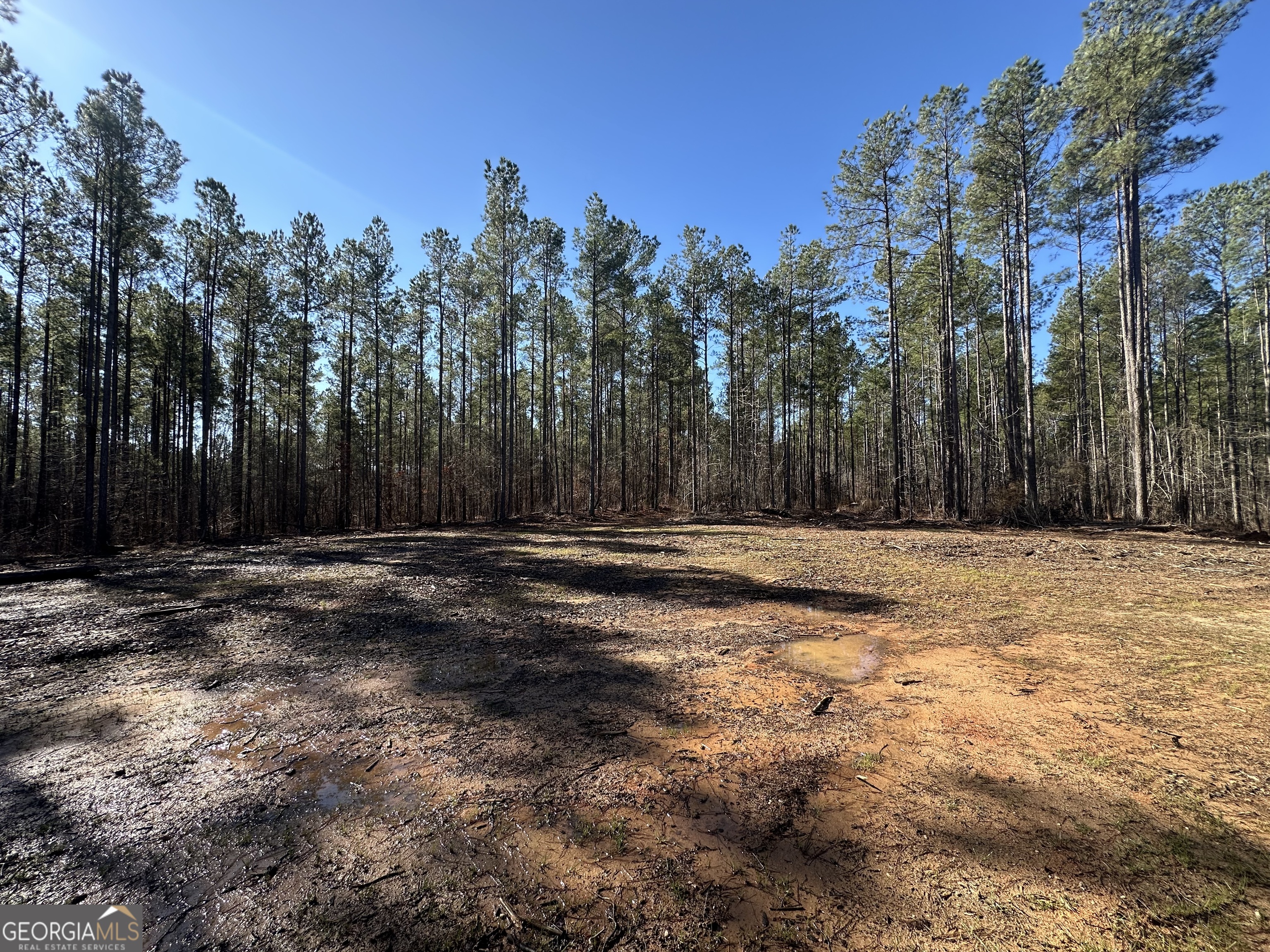 0 Farmington Road Watkinsville, GA 30677 - Photo 6 of 27 a view of space with wooden fence