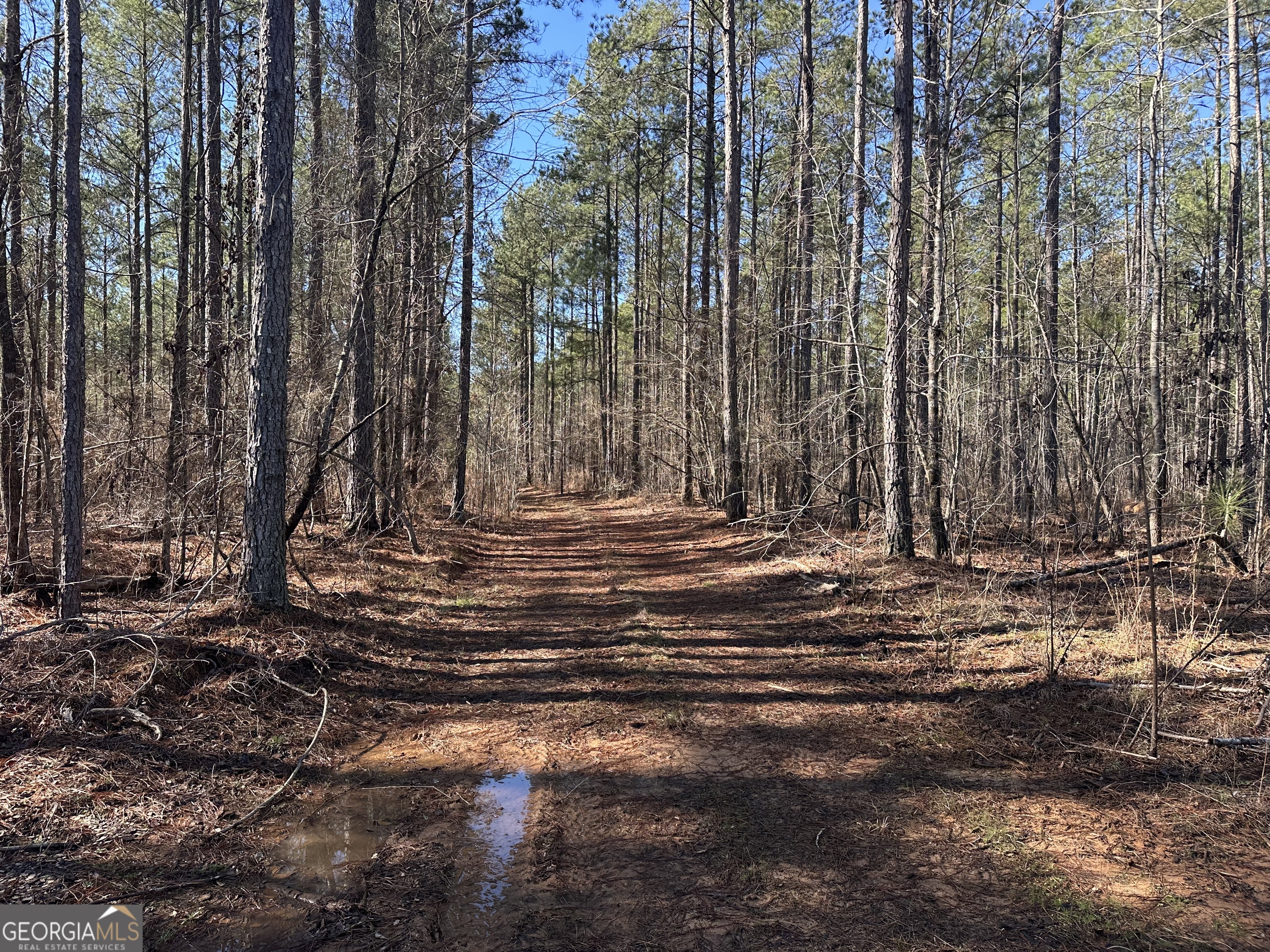 0 Farmington Road Watkinsville, GA 30677 - Photo 7 of 27 a view of outdoor space with wooden fence