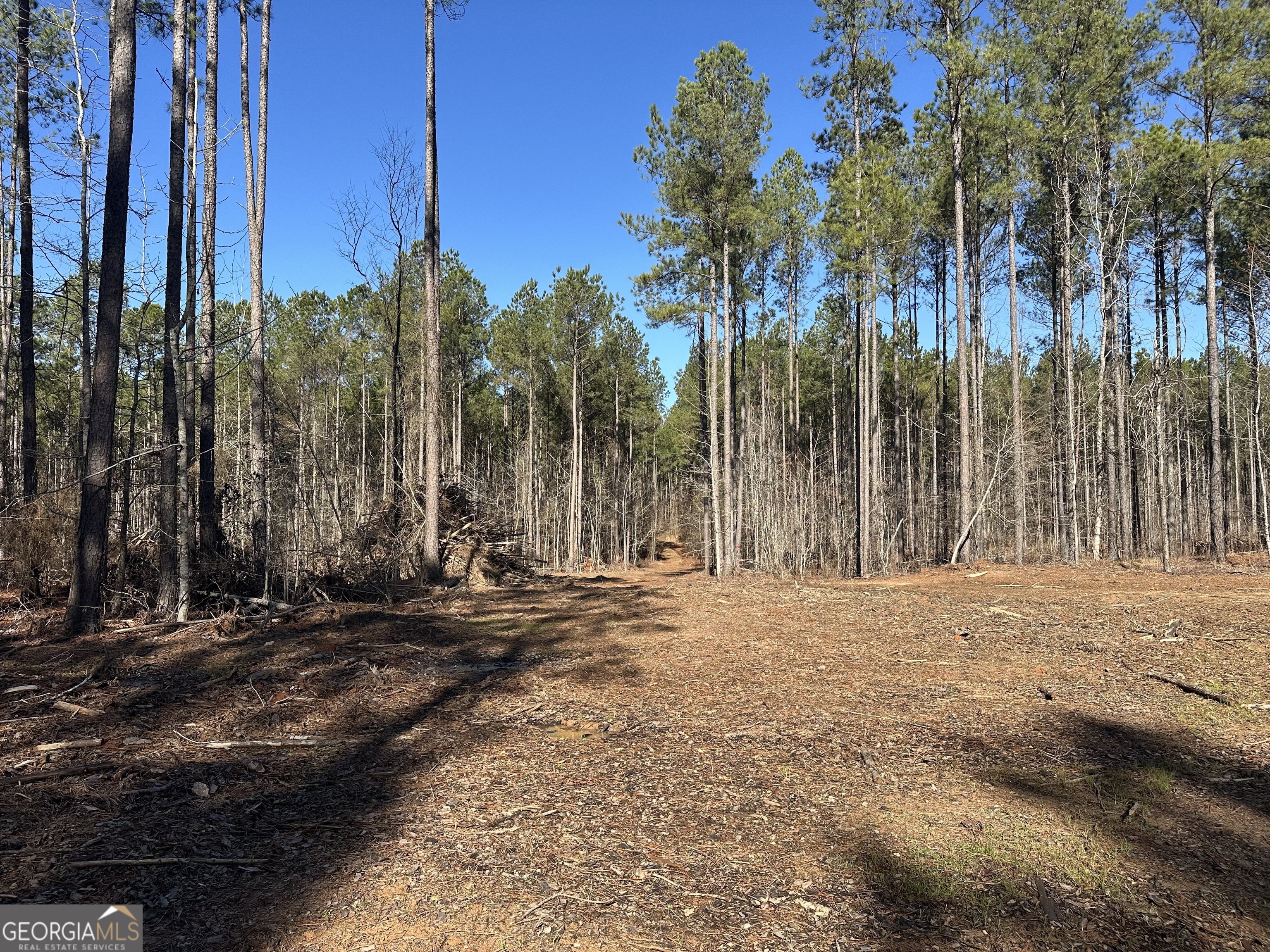 0 Farmington Road Watkinsville, GA 30677 - Photo 8 of 27