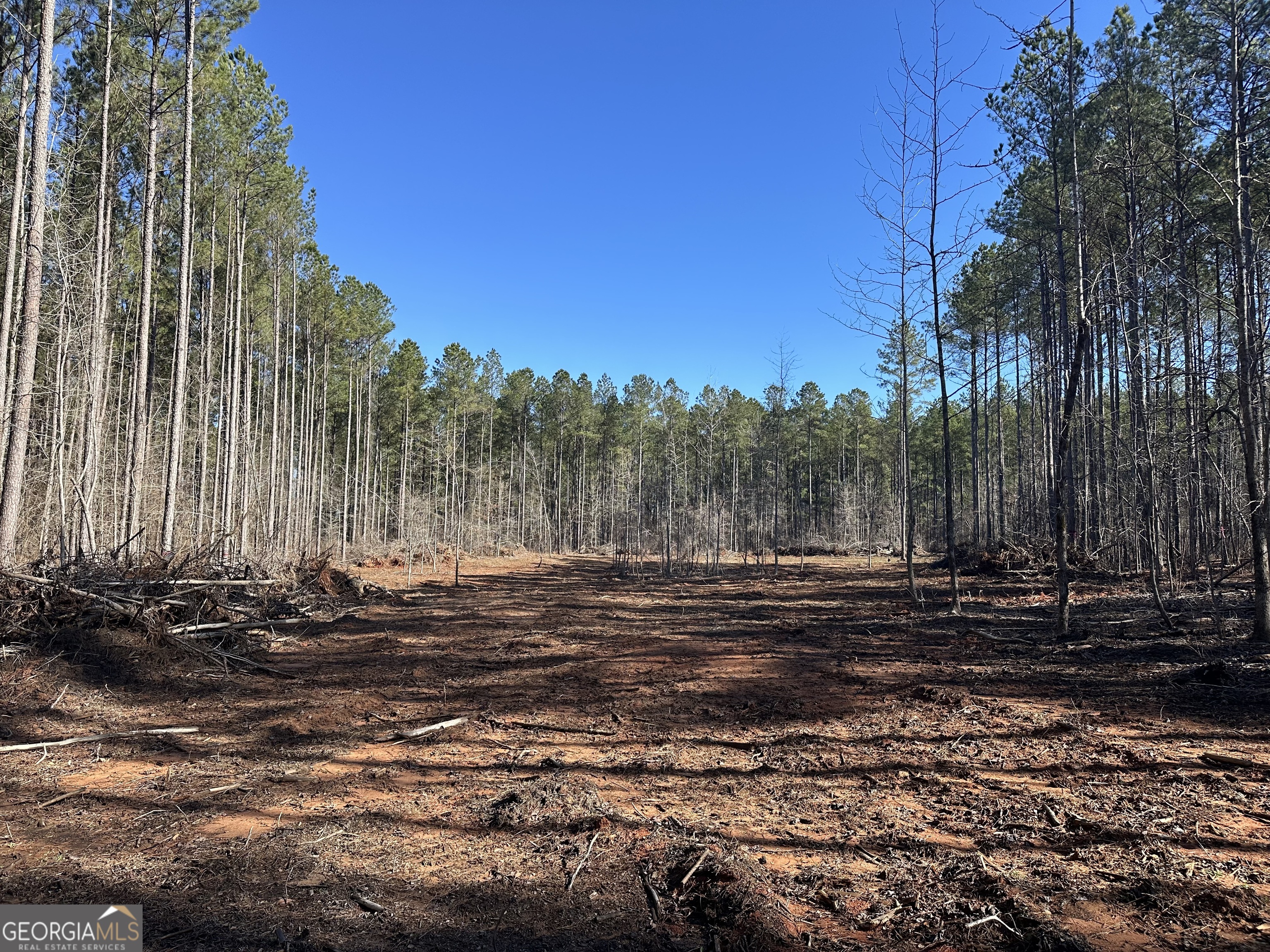 0 Farmington Road Watkinsville, GA 30677 - Photo 9 of 27 a view of a yard with large trees