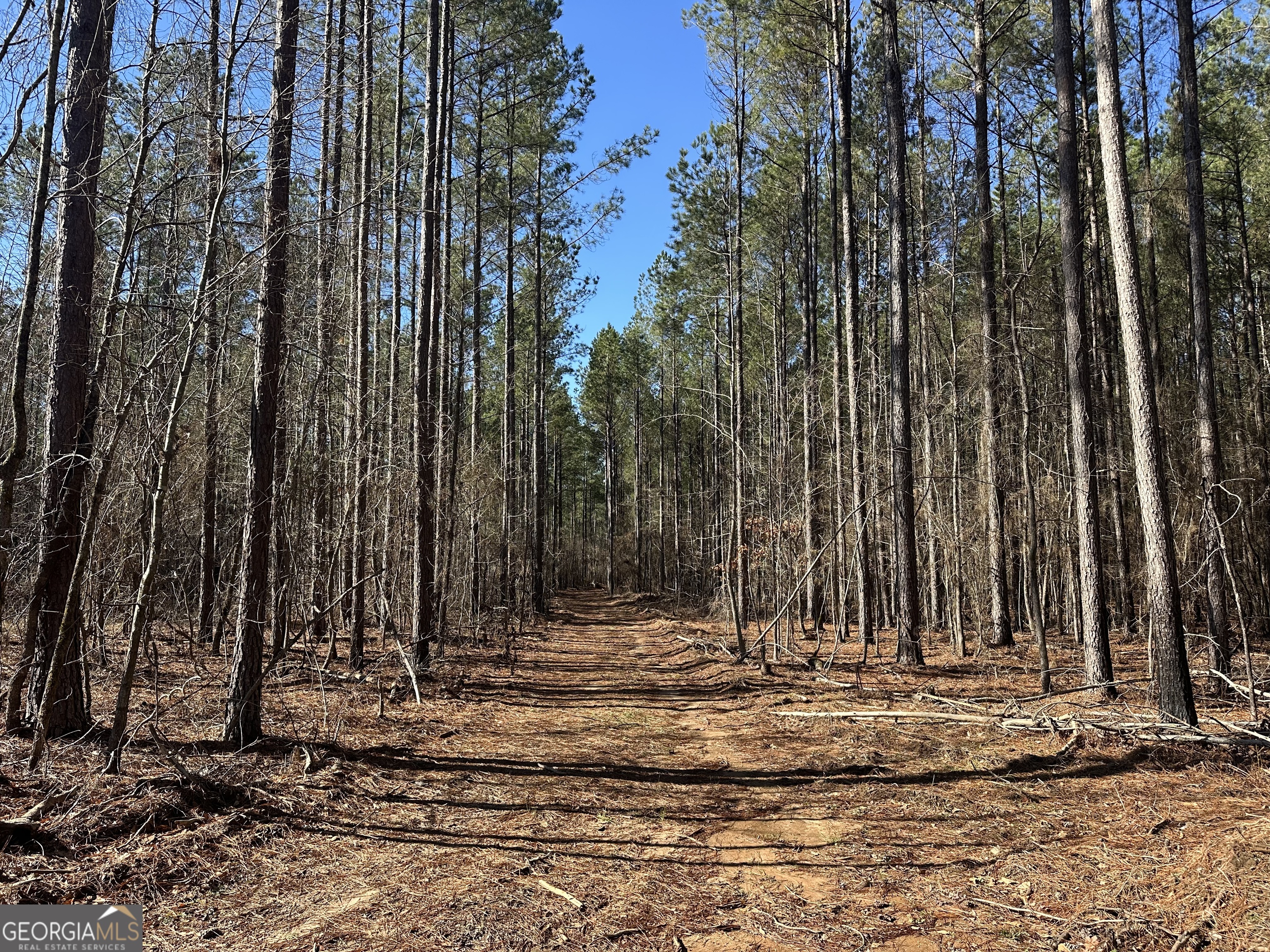 0 Farmington Road Watkinsville, GA 30677 - Photo 10 of 27 a view of a backyard with trees