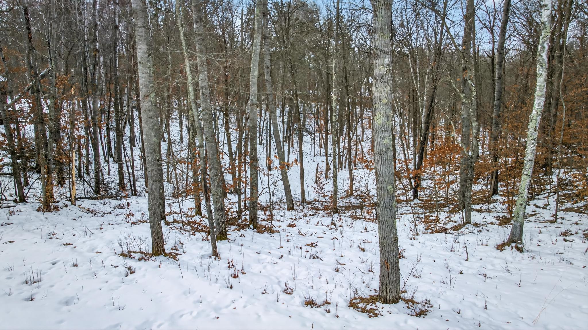 10857 Maya Circle Breezy Point, MN 56472 - Photo 40 of 43