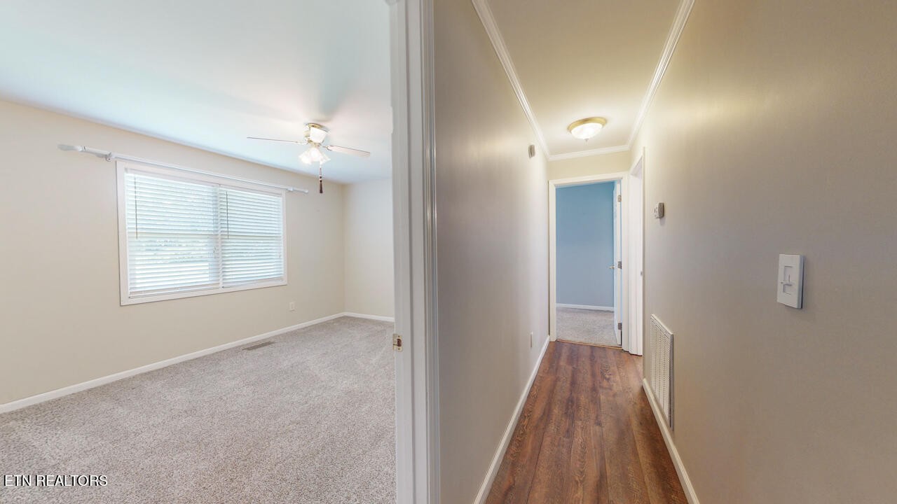 304 Letory Road Wartburg, TN 37887 - Photo 23 of 57 Gallery Image 23