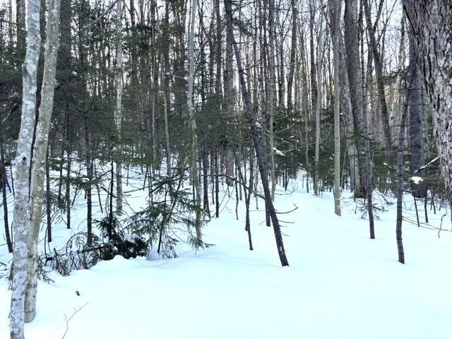 $39,900 | 12 Buckboard Drive, West Dover, VT 05356