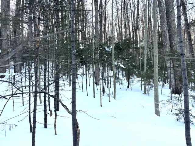 $39,900 | 12 Buckboard Drive, West Dover, VT 05356