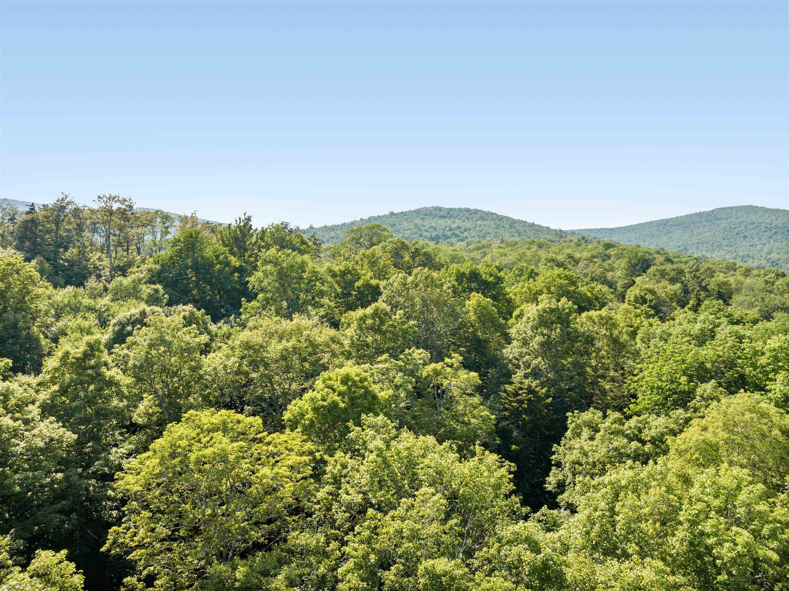 0 Woods Road, Unit 5A Northfield, VT 05663 - Photo 8 of 11