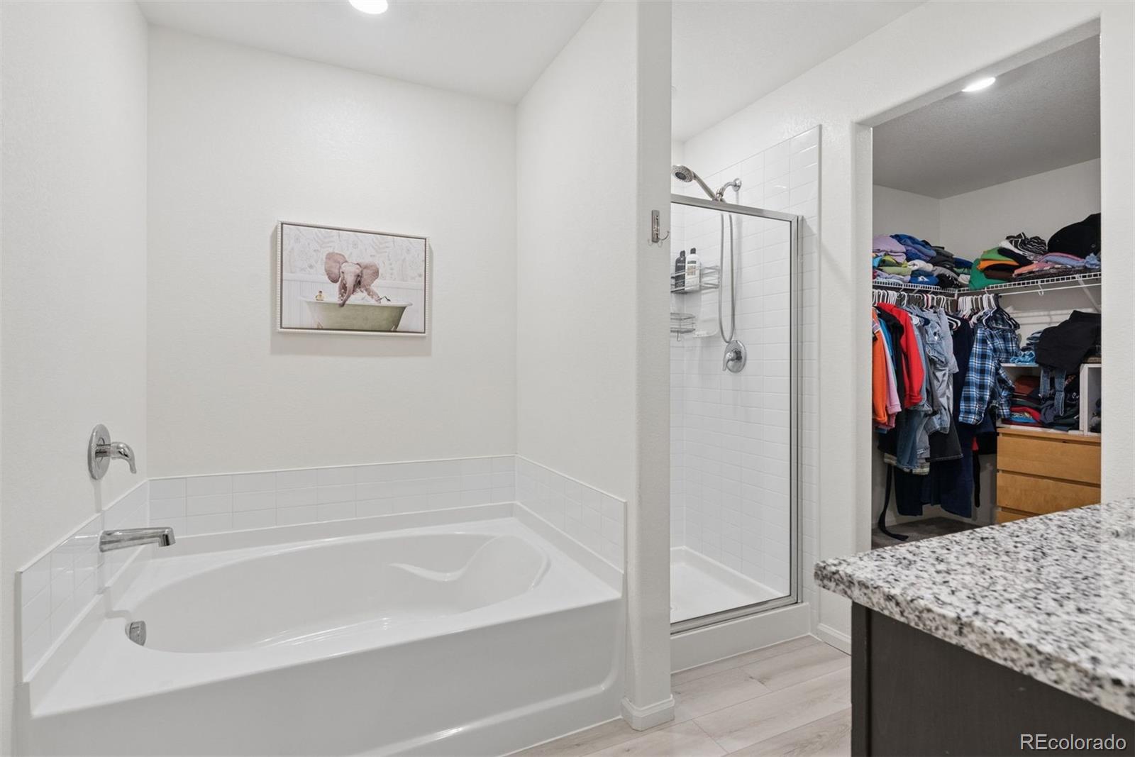 7307 Animas Avenue Frederick, CO 80530 - Photo 28 of 49 a spacious bathroom with a granite countertop tub sink and mirror