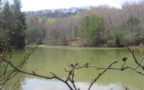 27 Big Ben Road Ellijay, GA 30536 - Photo 1 of 1 Main View