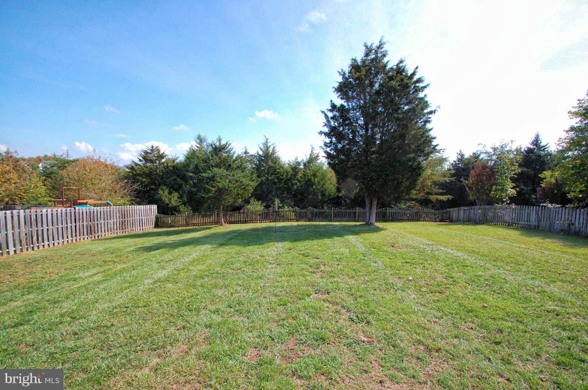 117 Canyon Road Winchester, VA 22602 - Photo 7 of 30 View