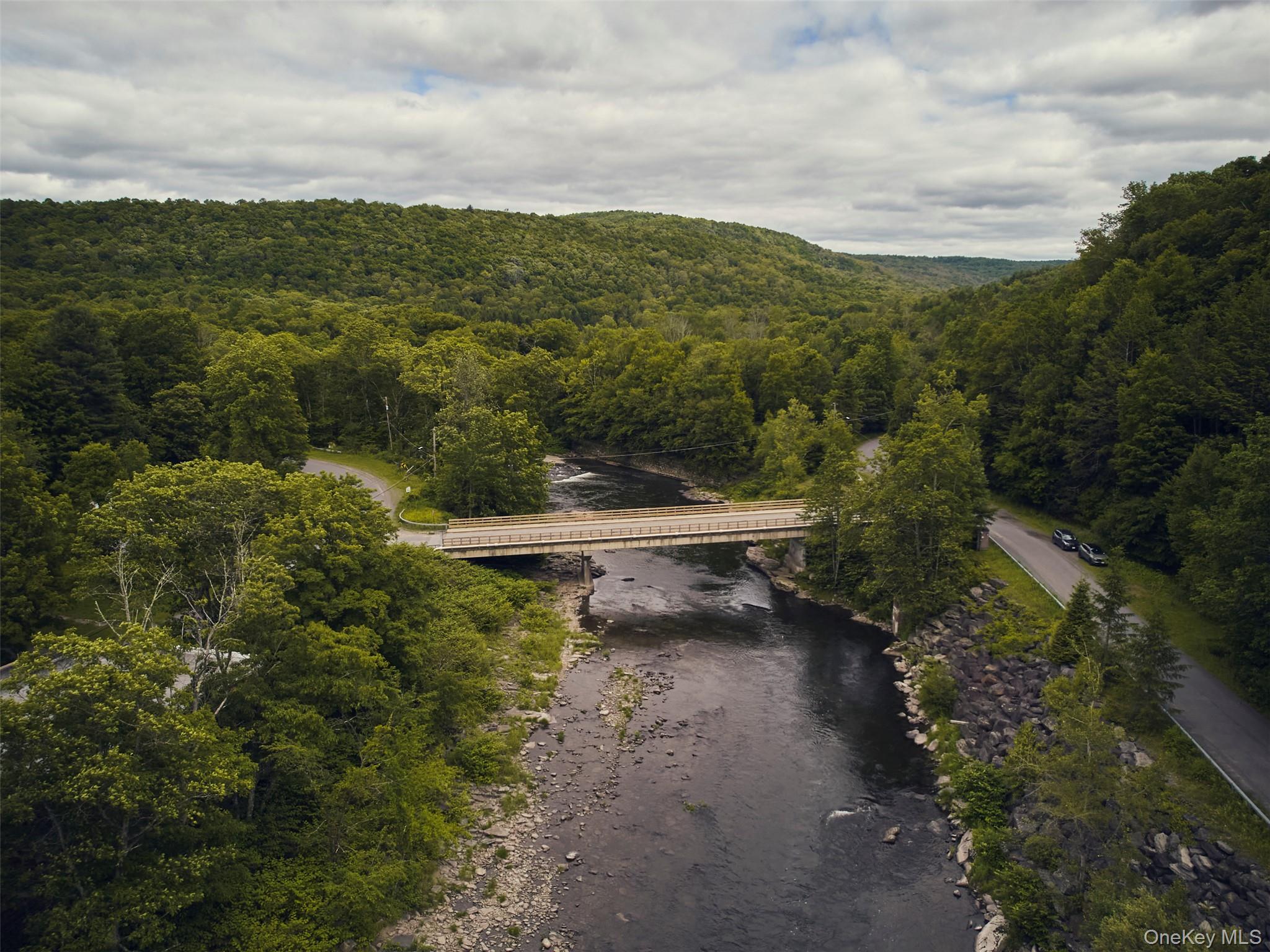 82 Cooks Brook Road Roscoe, NY 12776 - Photo 47 of 50