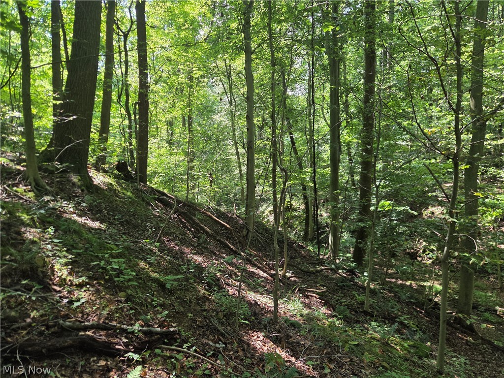 Midvale Mine Road Dennison, OH 44621 - Photo 10 of 16 Gallery Image 10