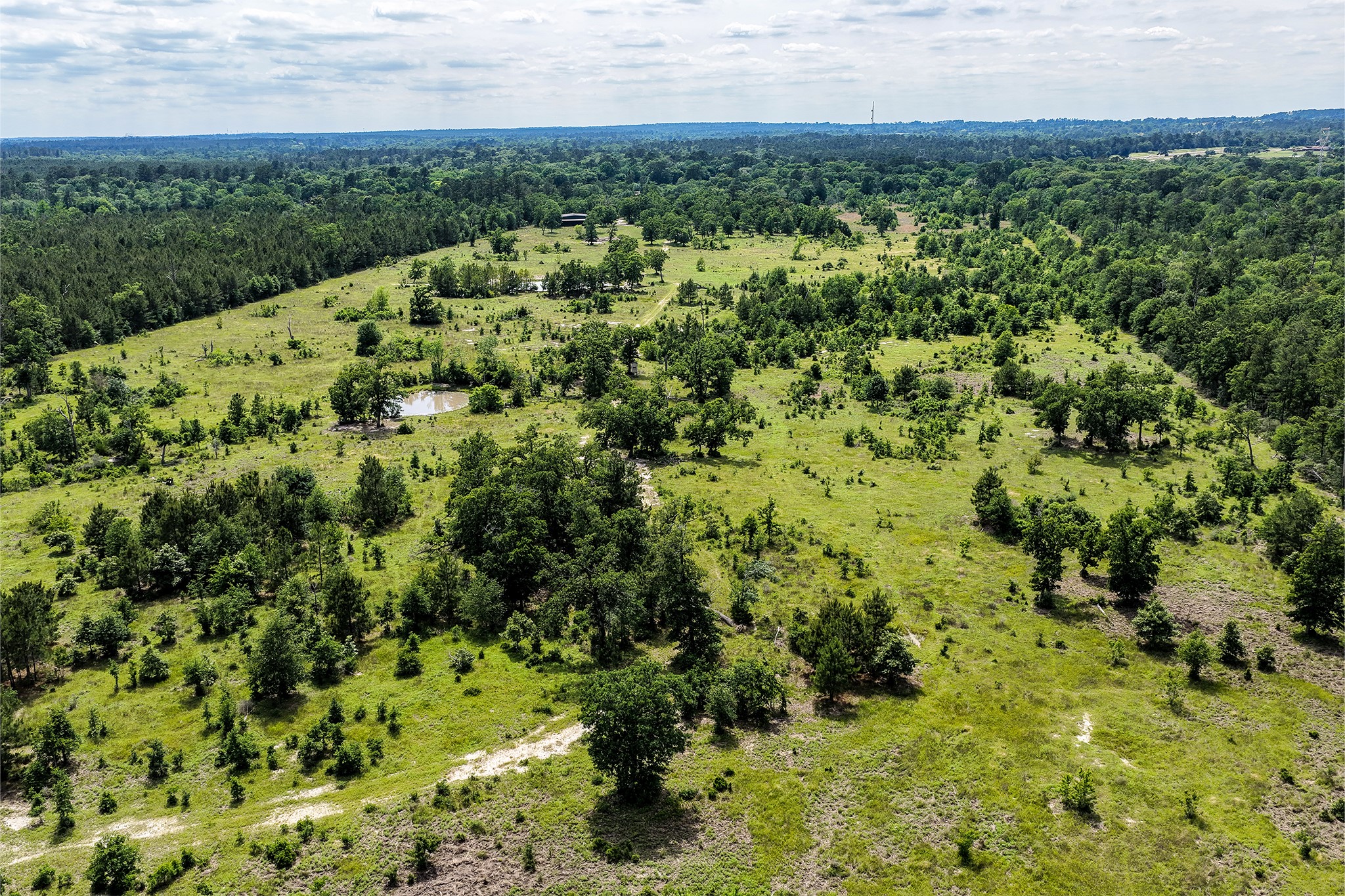 1726 Interstate 45 Huntsville, TX 77320 - Photo 41 of 49