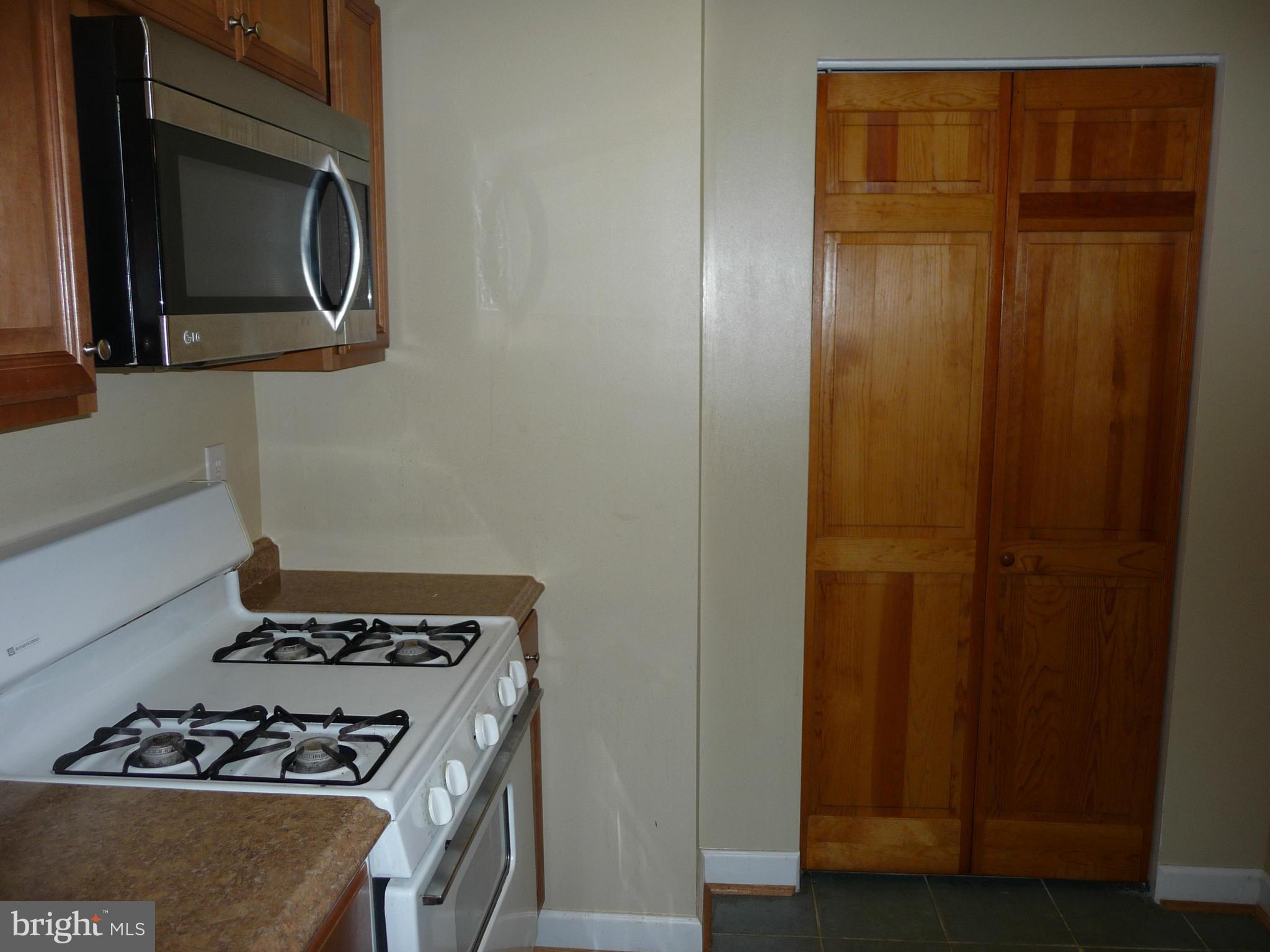 3820 Bel Pre Road, Unit 272 Silver Spring, MD 20906 - Photo 11 of 27 Kitchen Pantry Closet