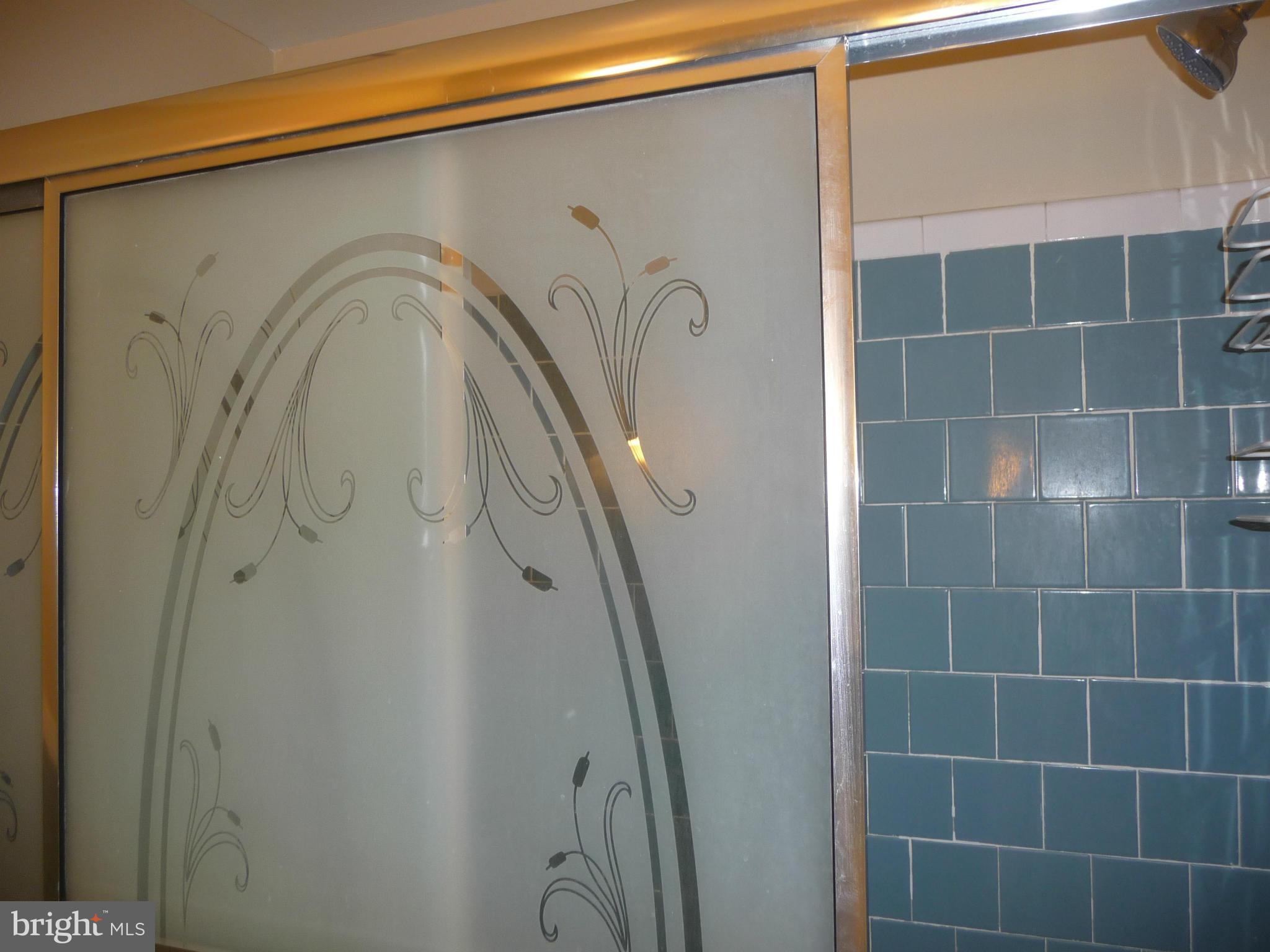 3820 Bel Pre Road, Unit 272 Silver Spring, MD 20906 - Photo 26 of 27 Glass Shower doors to Hall Bath
