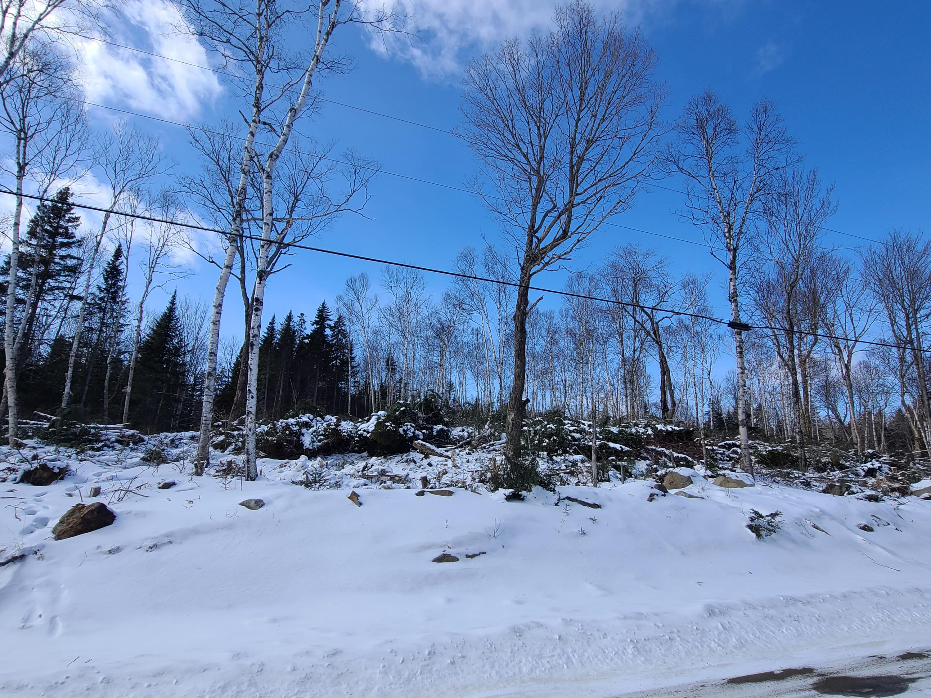 Lot 11 Loon Lake Road Rangeley, ME 04970 - Photo 13 of 16 4