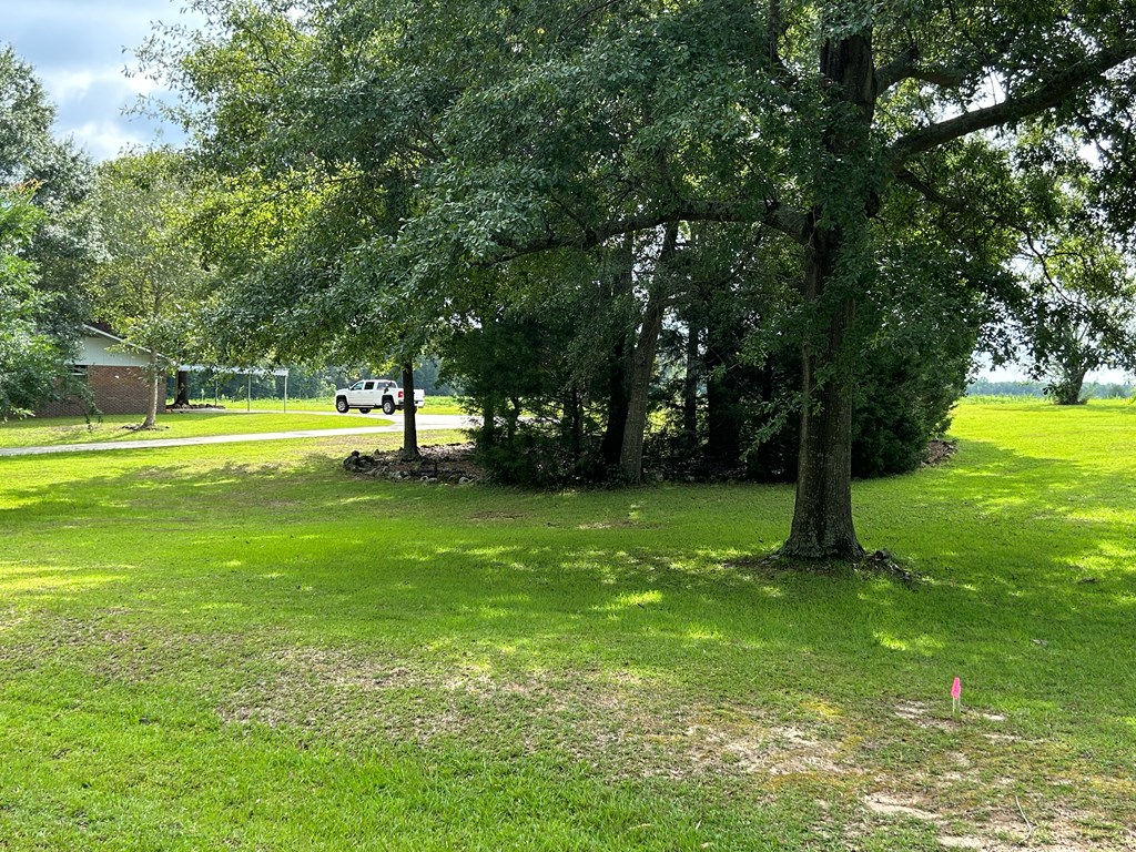 854 Hall Road Dothan, AL 36301 - Photo 34 of 55