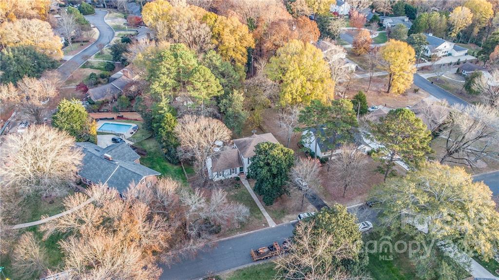 3513 Highview Road Charlotte, NC 28210 - Photo 26 of 27 a view of a garden with plants and large trees