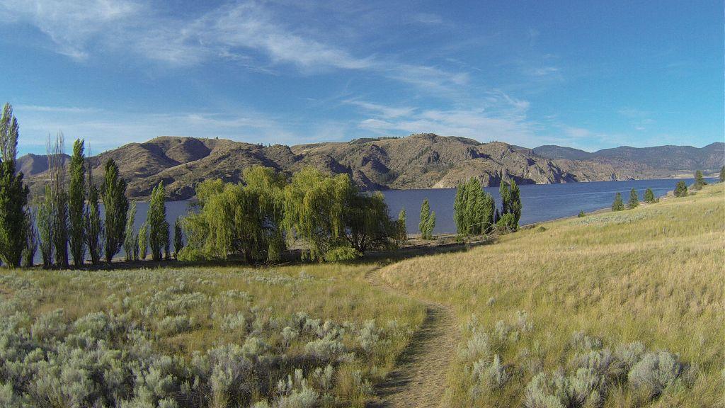 16635 East Jones Road Wilbur, WA 99185 - Photo 6 of 15 Gallery Image 6