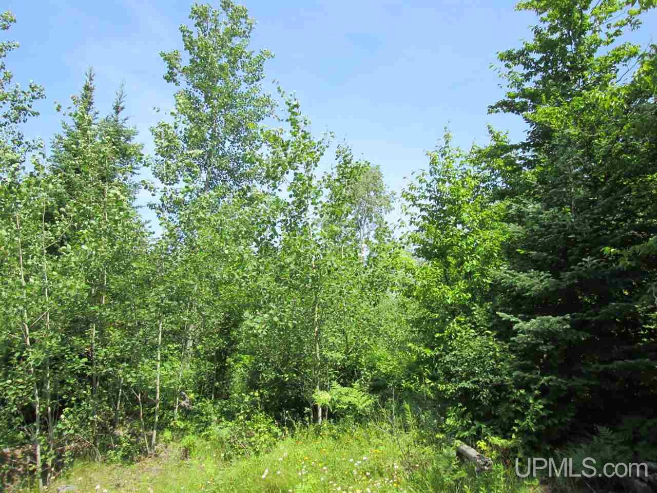 Tbd Off Victoria Road Rockland, MI 49960 - Photo 1 of 1