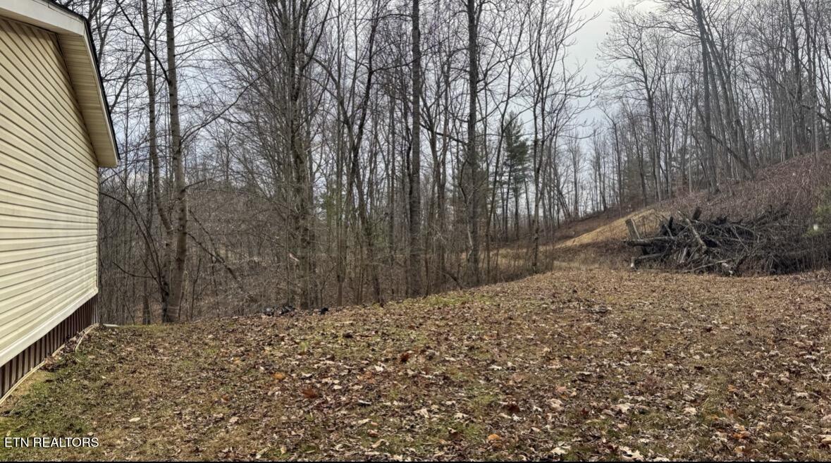 135 Harold Brooks Lane Oneida, TN 37841 - Photo 5 of 26 IMG_1086