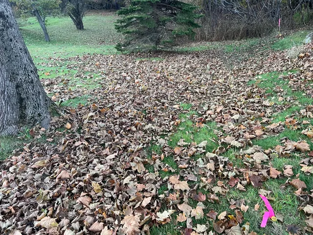 $165,000 | 0 Reed Street, Westbrook, ME 04092