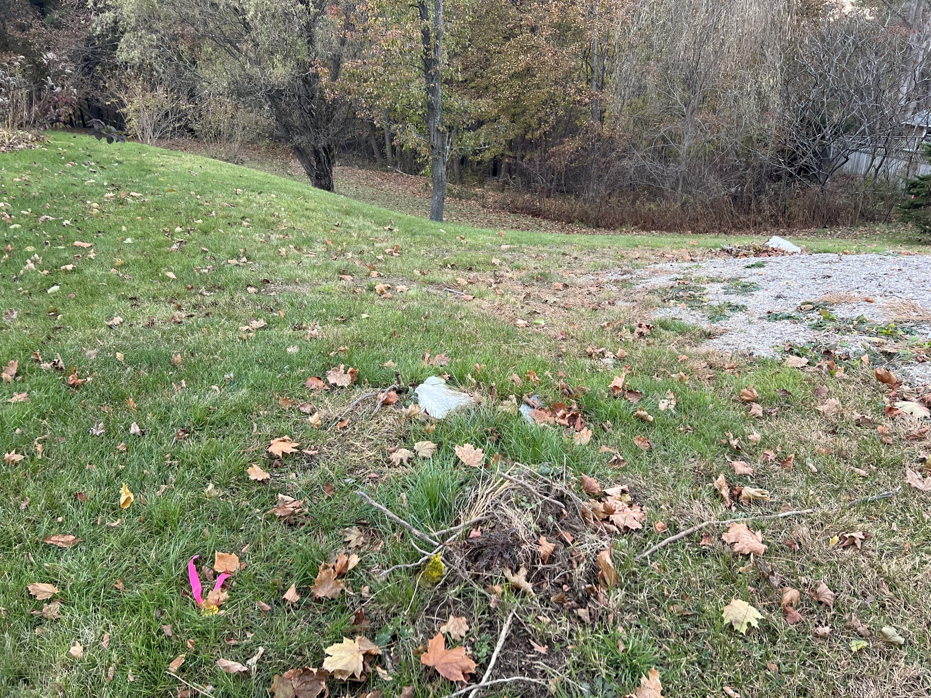 0 Reed Street Westbrook, ME 04092 - Photo 4 of 4 IMG_5403