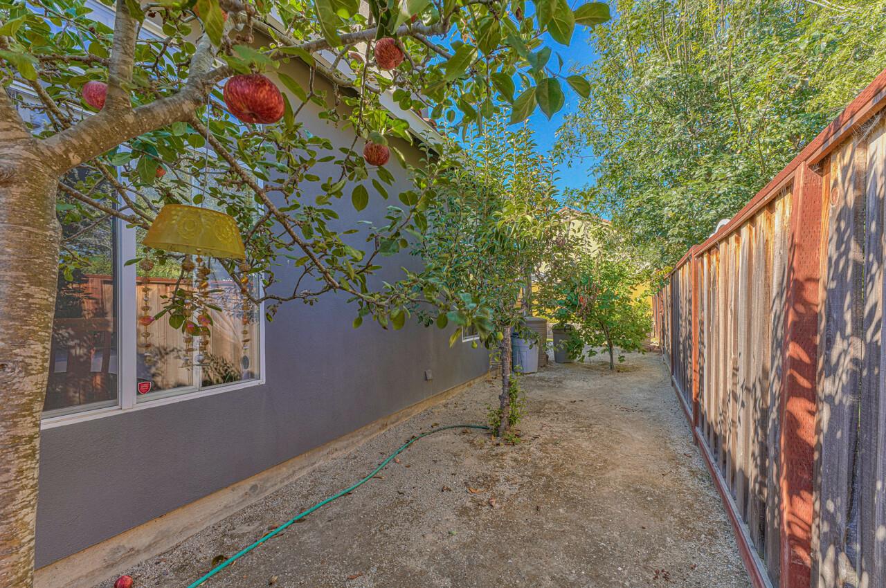 20 Glen Falls Circle Salinas, CA 93906 - Photo 37 of 37 a backyard of a house with lots of green space