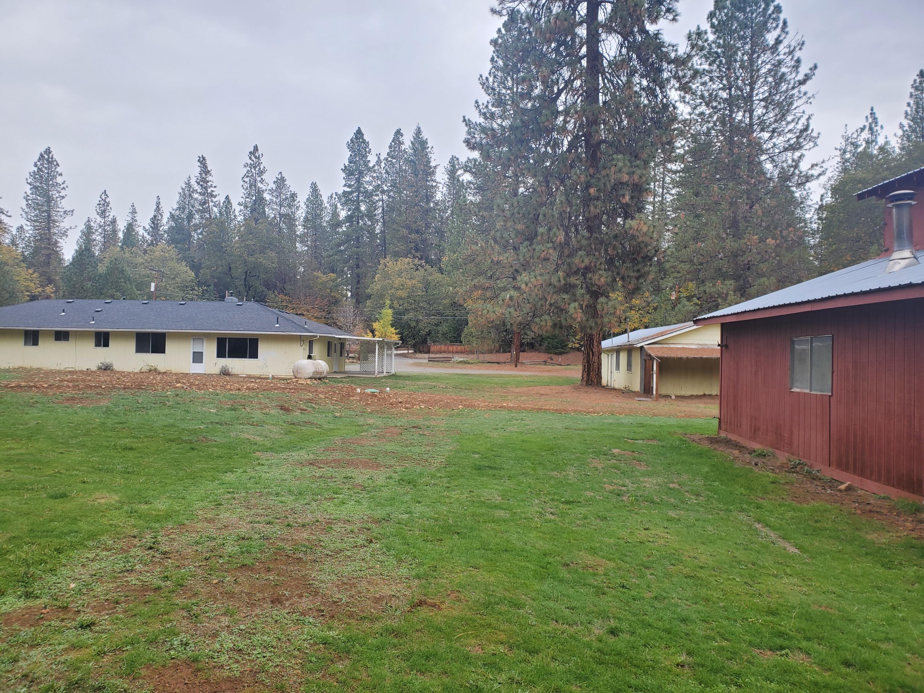 513 Queens Branch Road Rogue River, OR 97537 - Photo 39 of 56 a view of a yard in front of a house with large trees