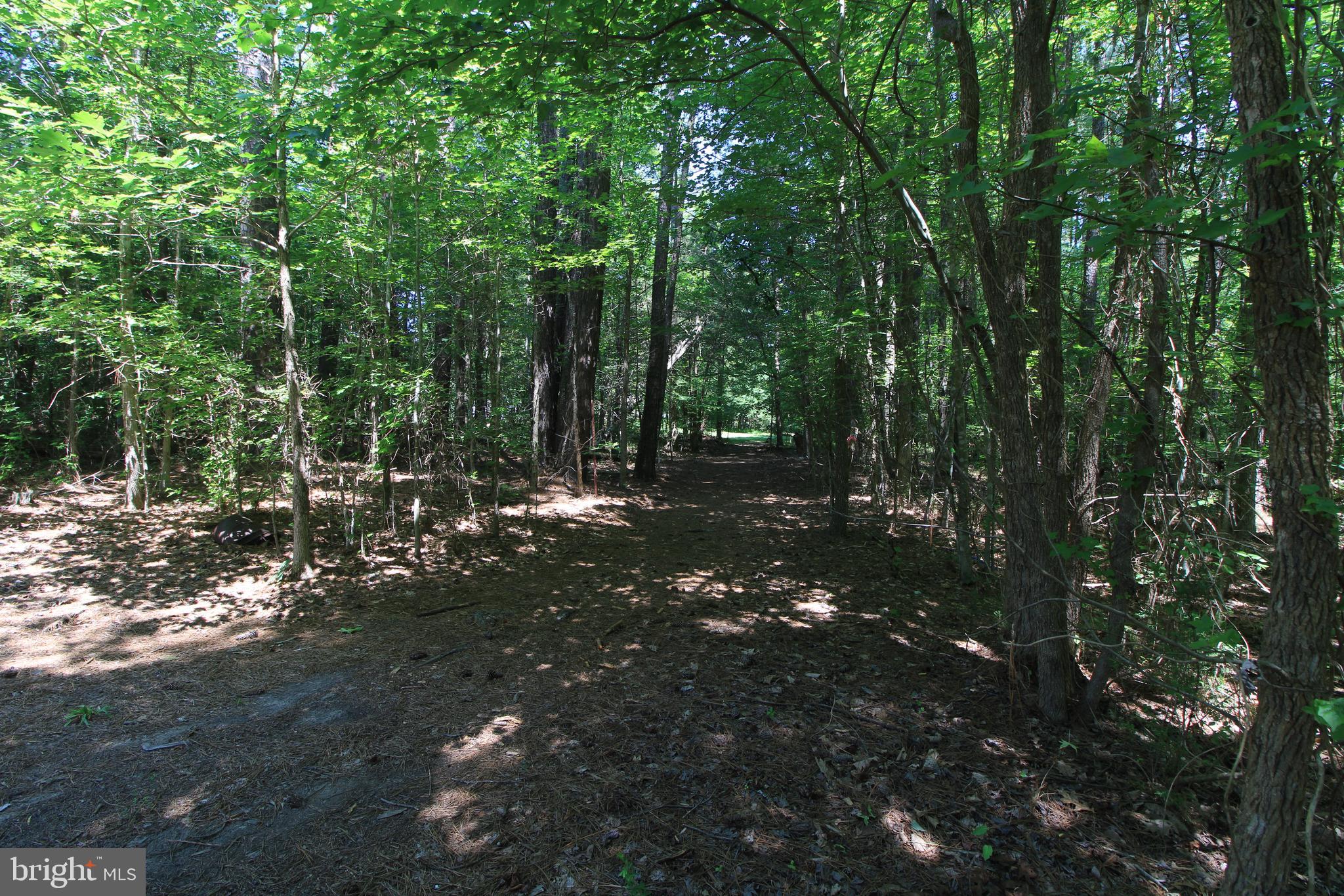 512 Mountain Hall Road Crewe, VA 23930 - Photo 46 of 50