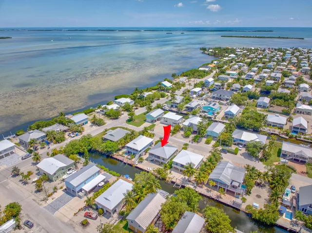 view of a lot of flowers