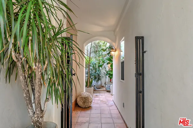 a view of a path with potted plants