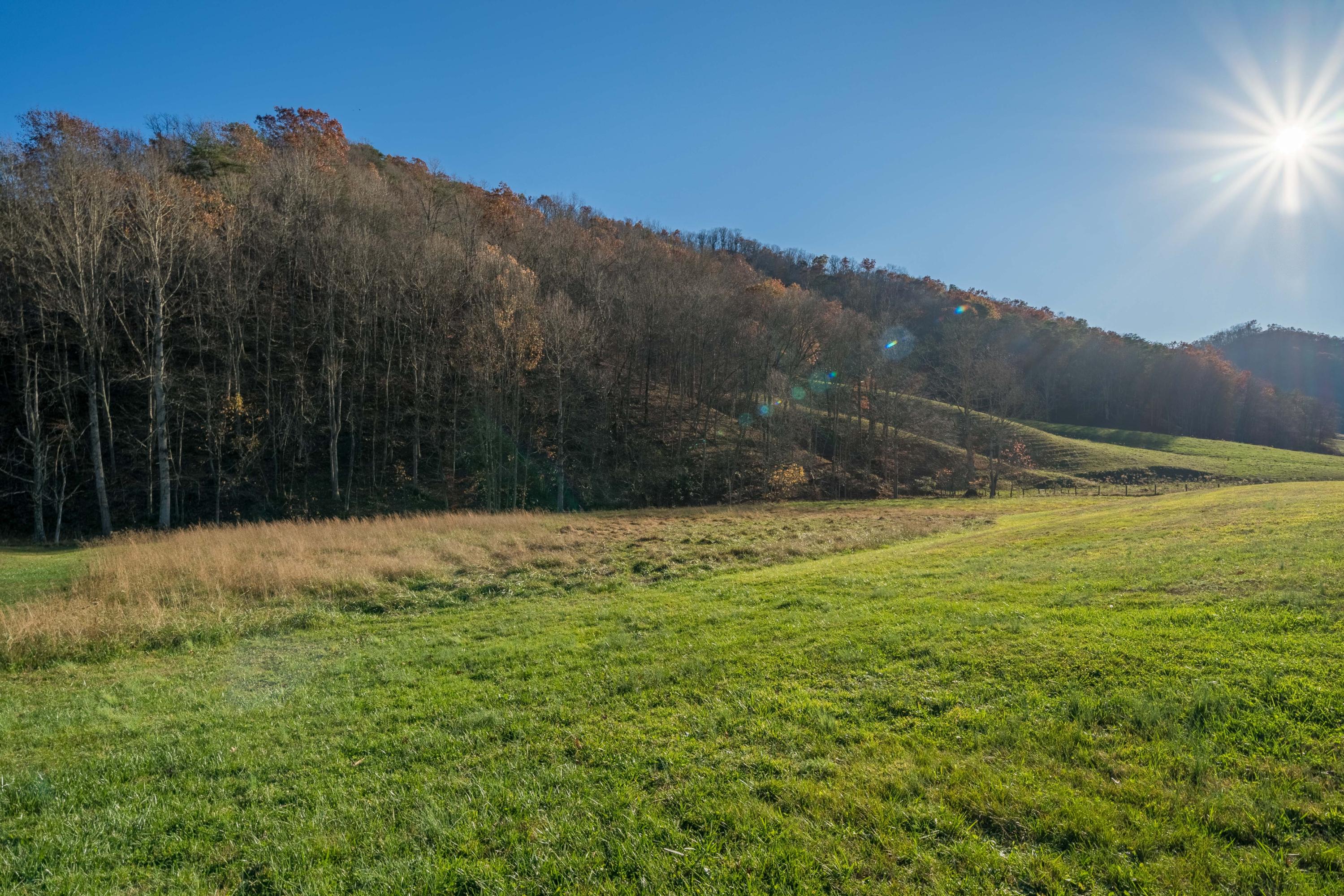 8566 Mendota Road Mendota, VA 24270 - Photo 11 of 48 8566 Mendota Rd (11 of 48)